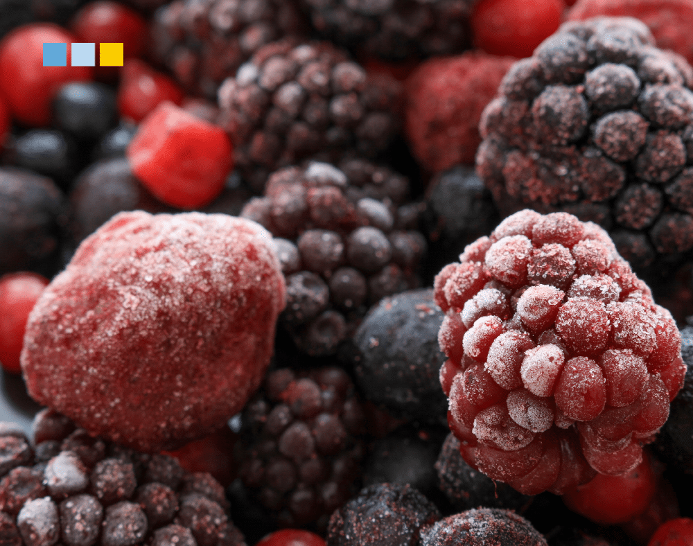 Cómo conservar mejor los alimentos durante las olas de calor: consejos para un verano seguro