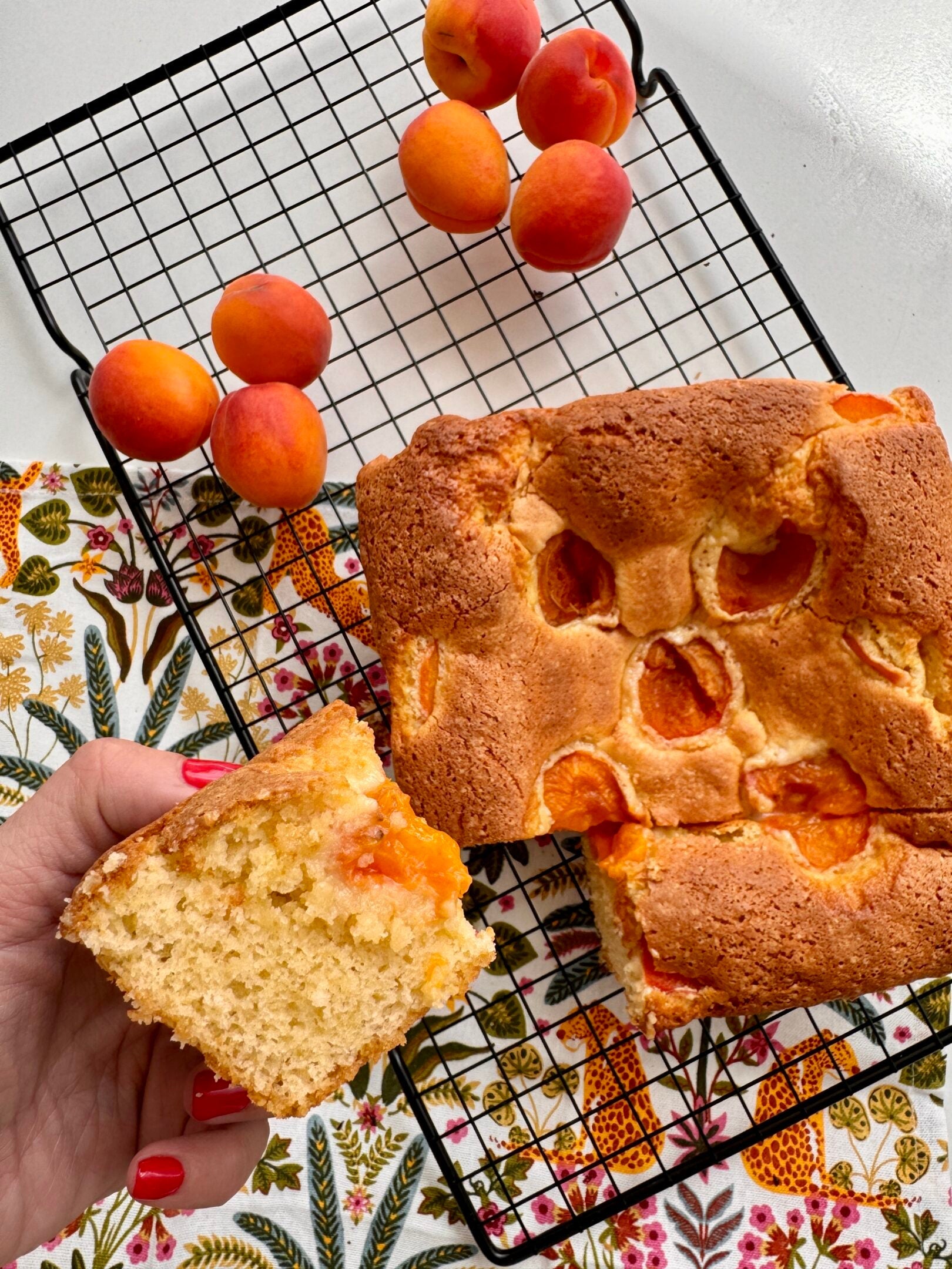 Receta de bizcocho de albaricoque