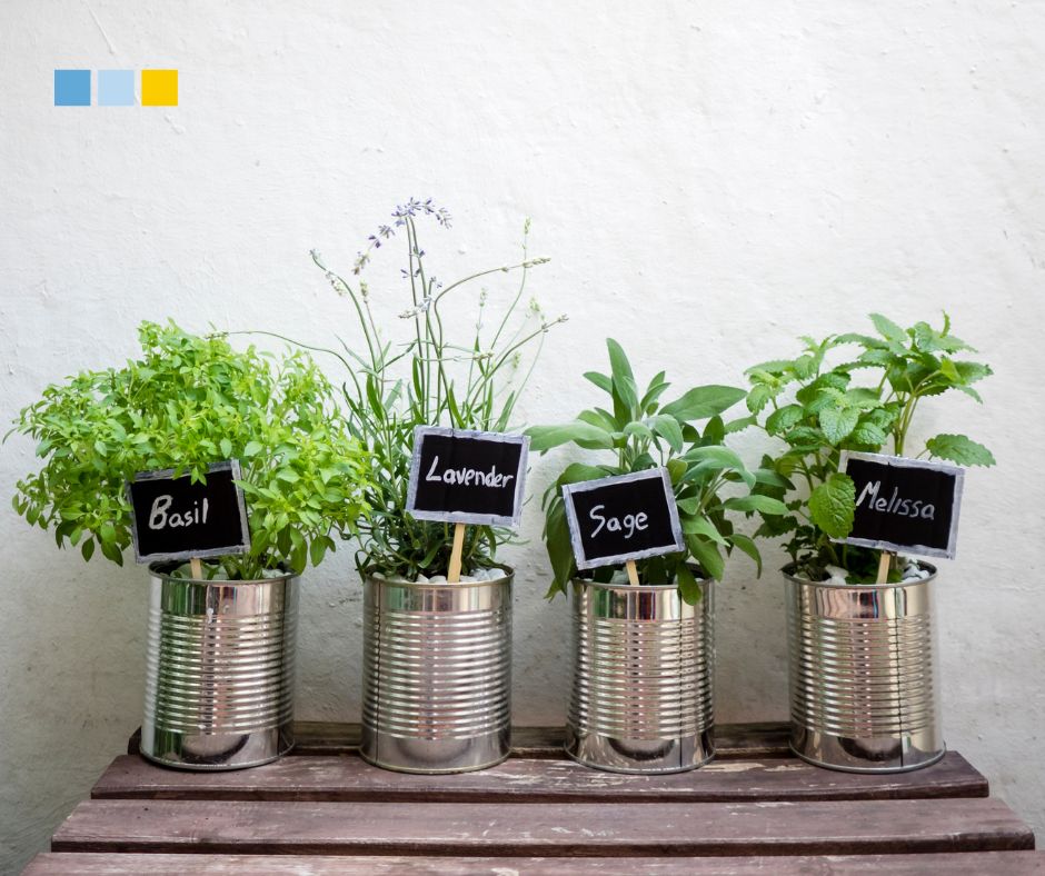 Reciclaje en casa: ideas prácticas para reutilizar botes, cartones y cajas de tu compra