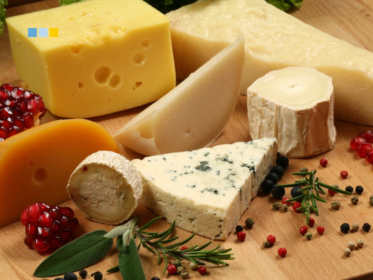 Tipos de queso