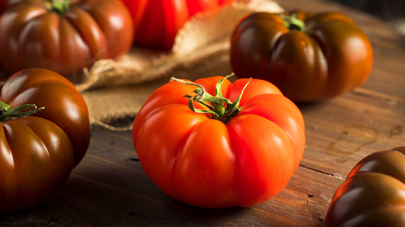 Toma tomate, o tomatll, el “fruto gordo de agua”