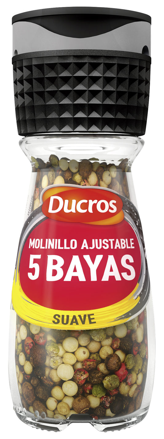 Molinillo 5 bayas Ducros 35g La Despensa