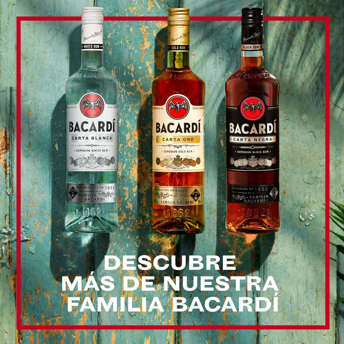 Ron carta blanca Bacardi 700ml
