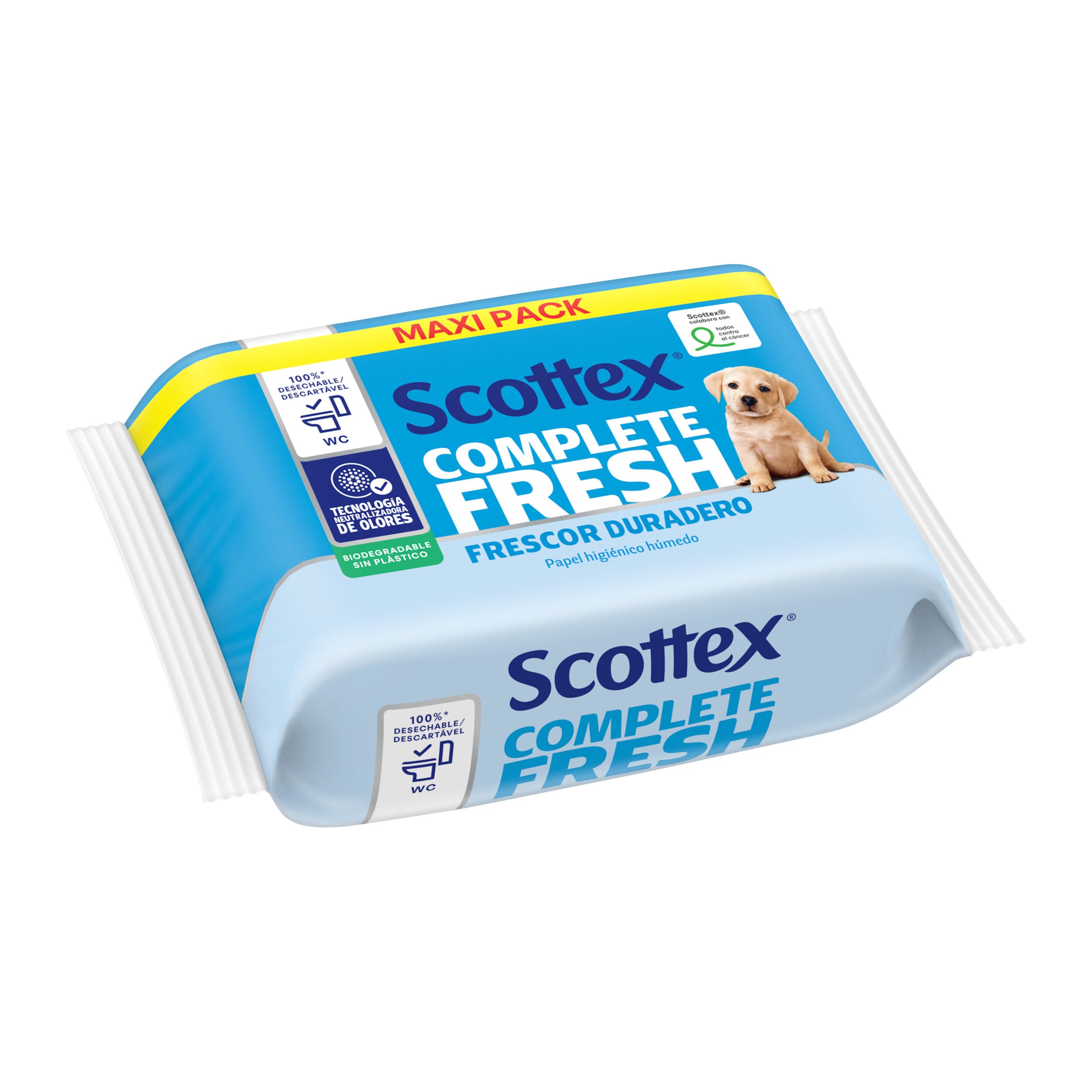 Toallita wc fresh jumbo Scottex p74