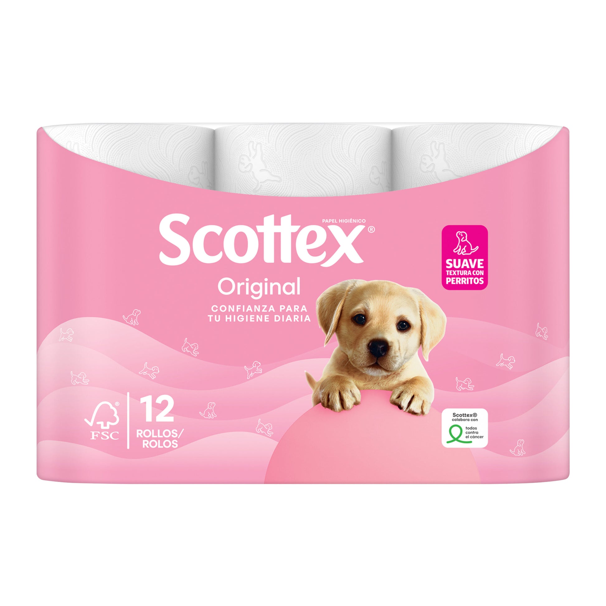 Higienico p12 Scottex p12