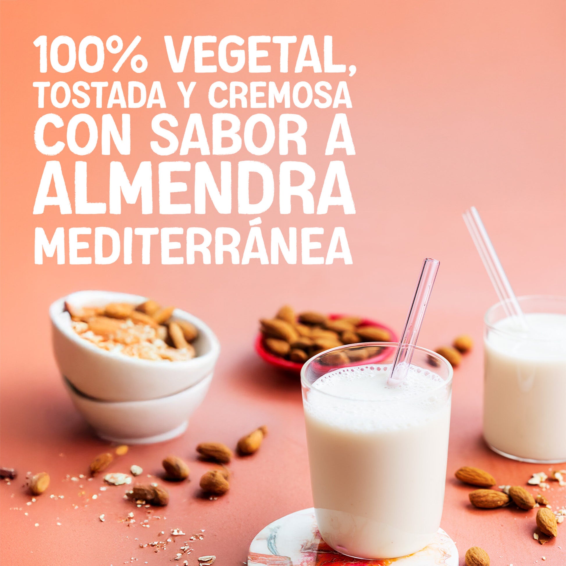 Bebida  vegetal almendra s/azucar Alpro 1l