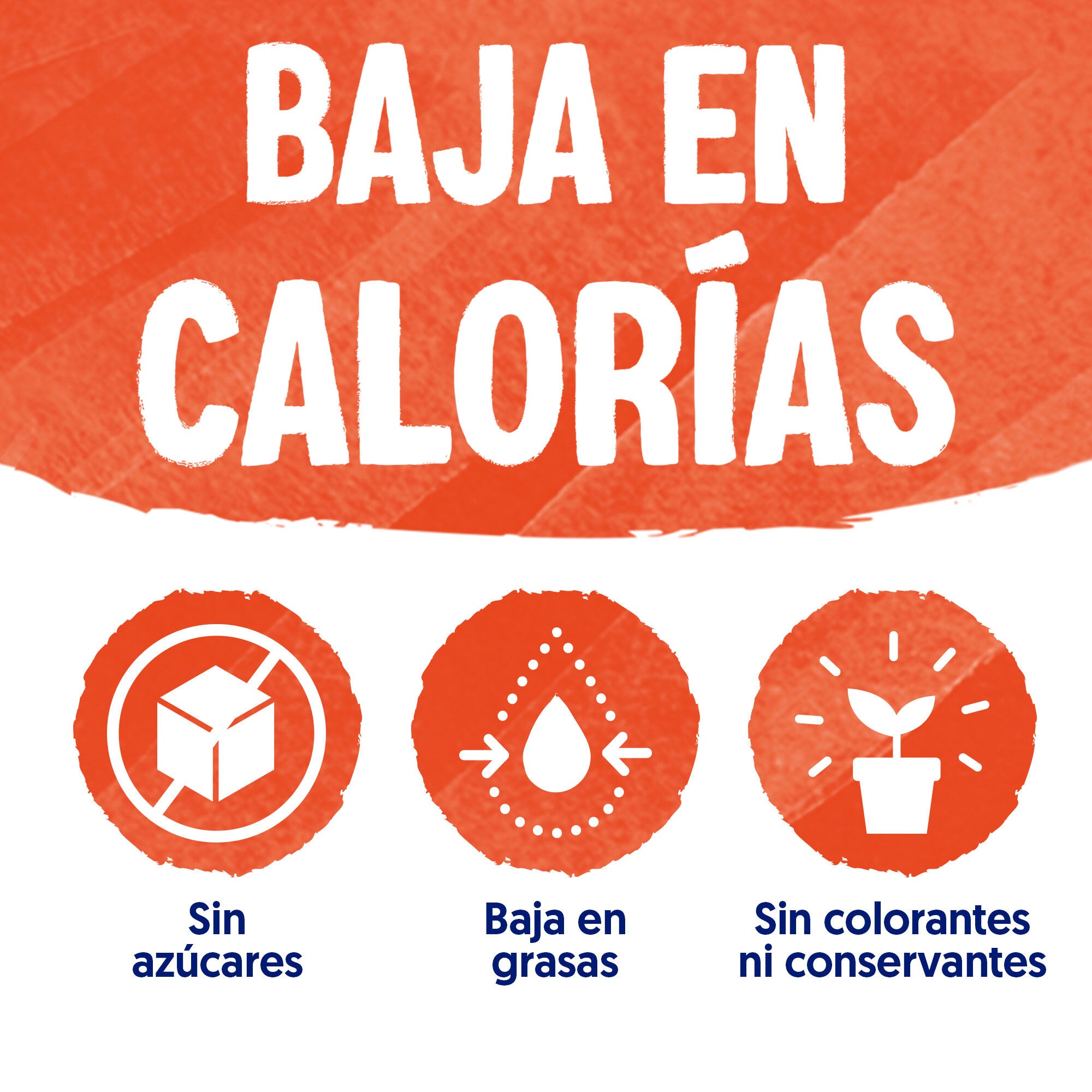 Bebida vegetal coco s/azucar Alpro 1l