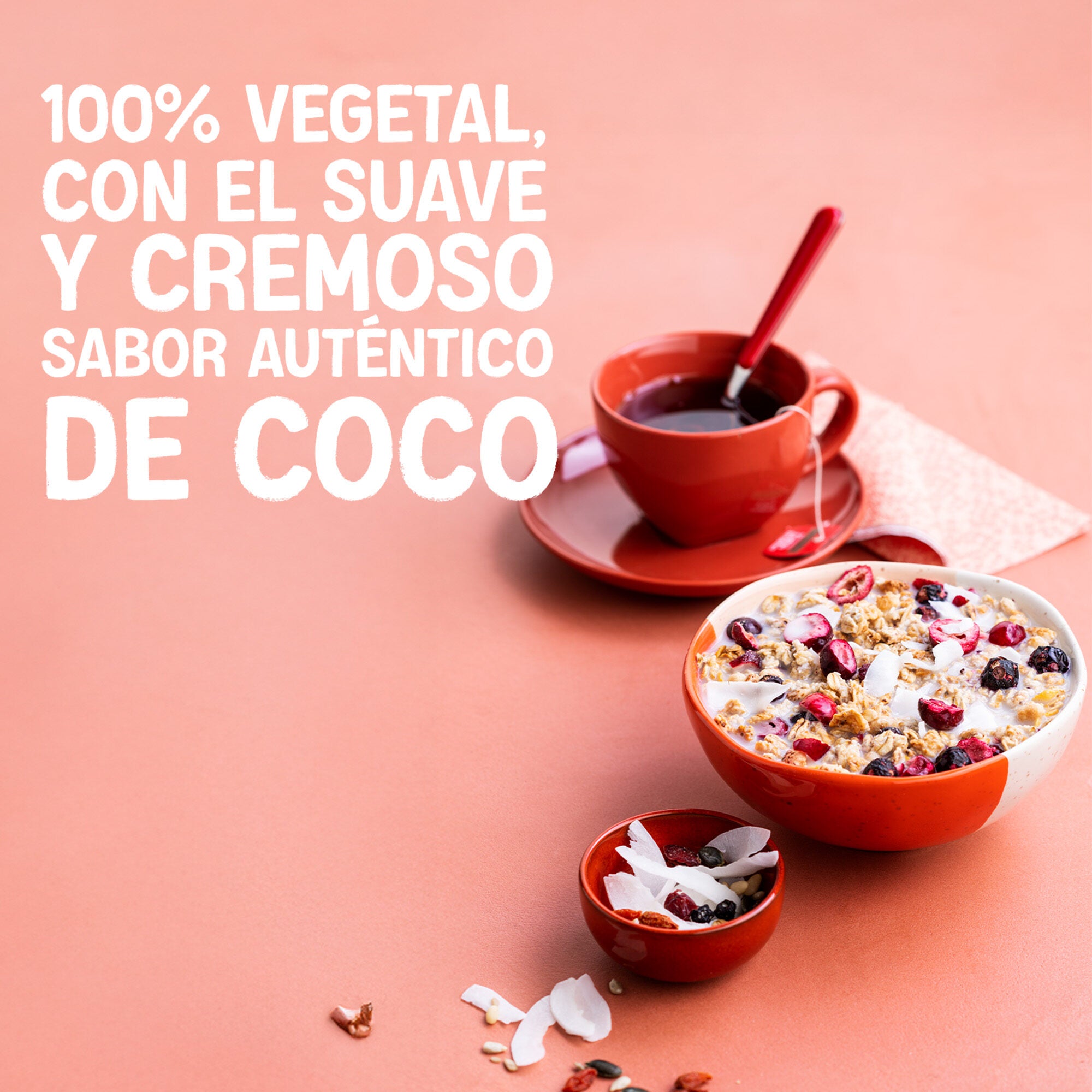 Bebida vegetal coco s/azucar Alpro 1l