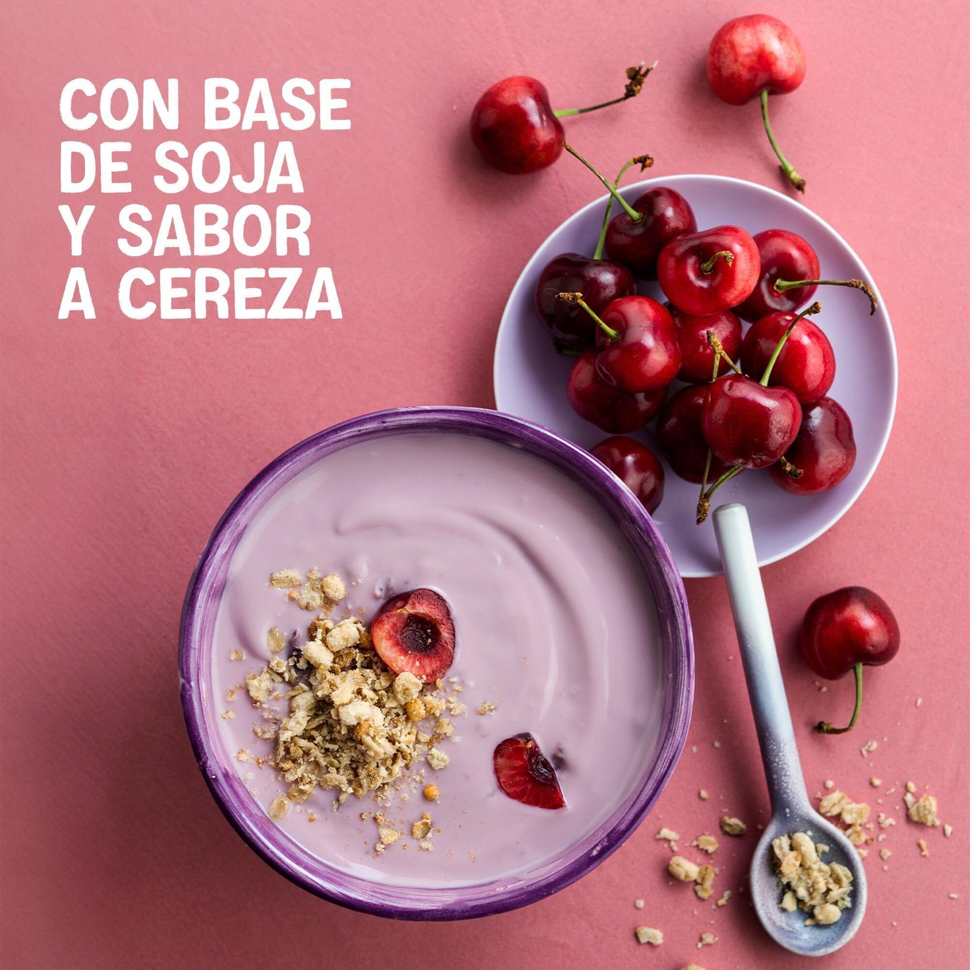 Postre vegetal cereza Alpro 400g