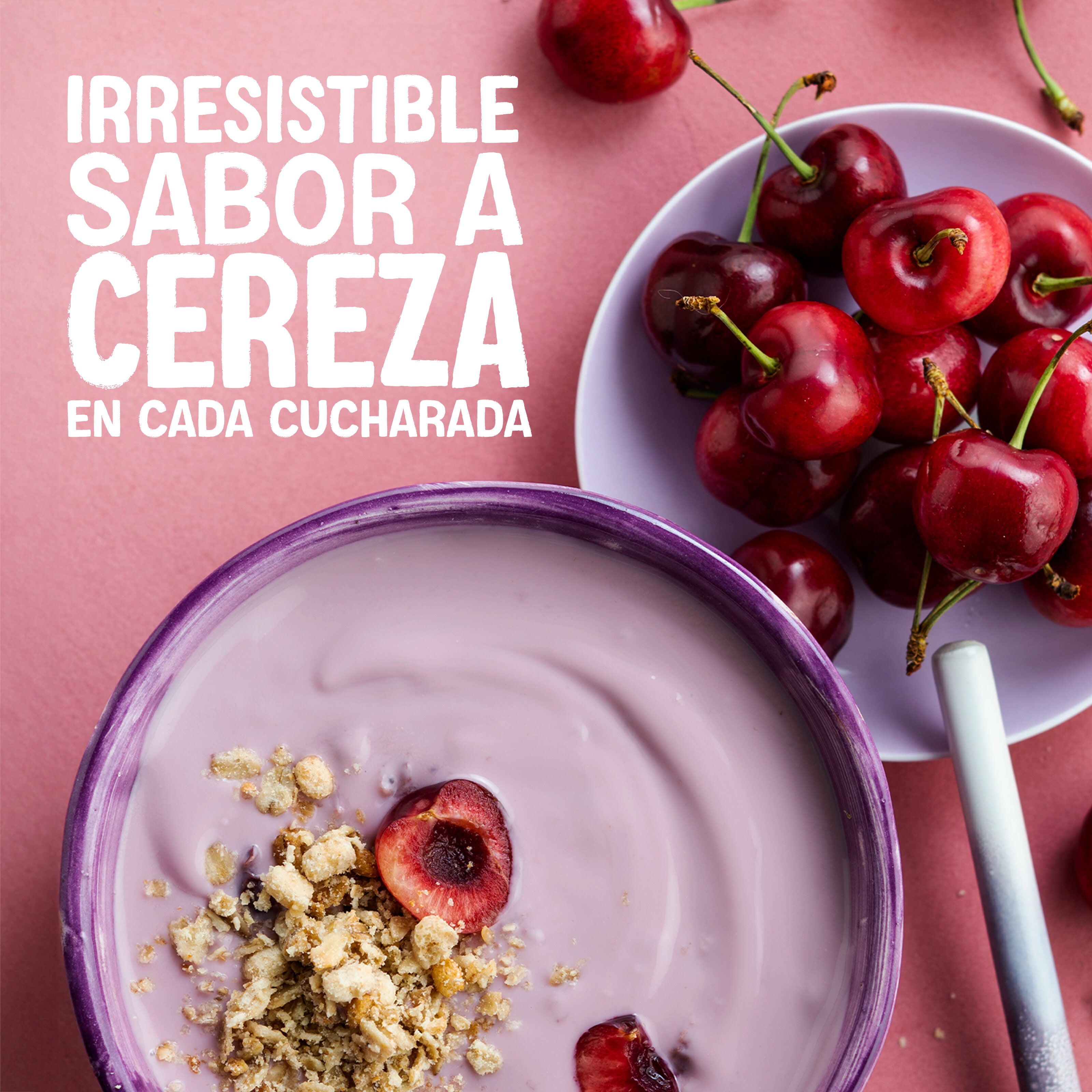 Postre vegetal cereza Alpro 400g