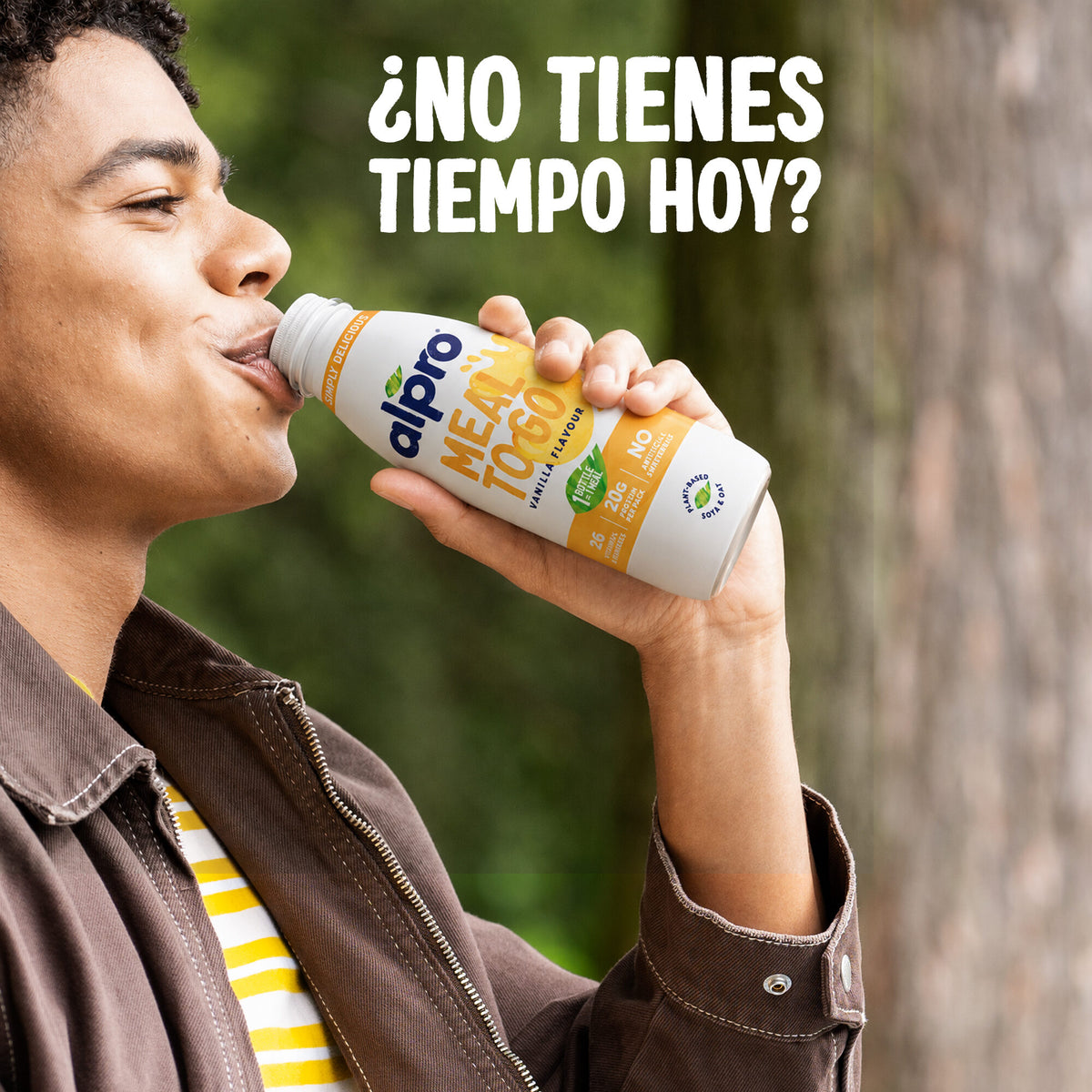 Postre vegetal meal to go vainilla Alpro 523G