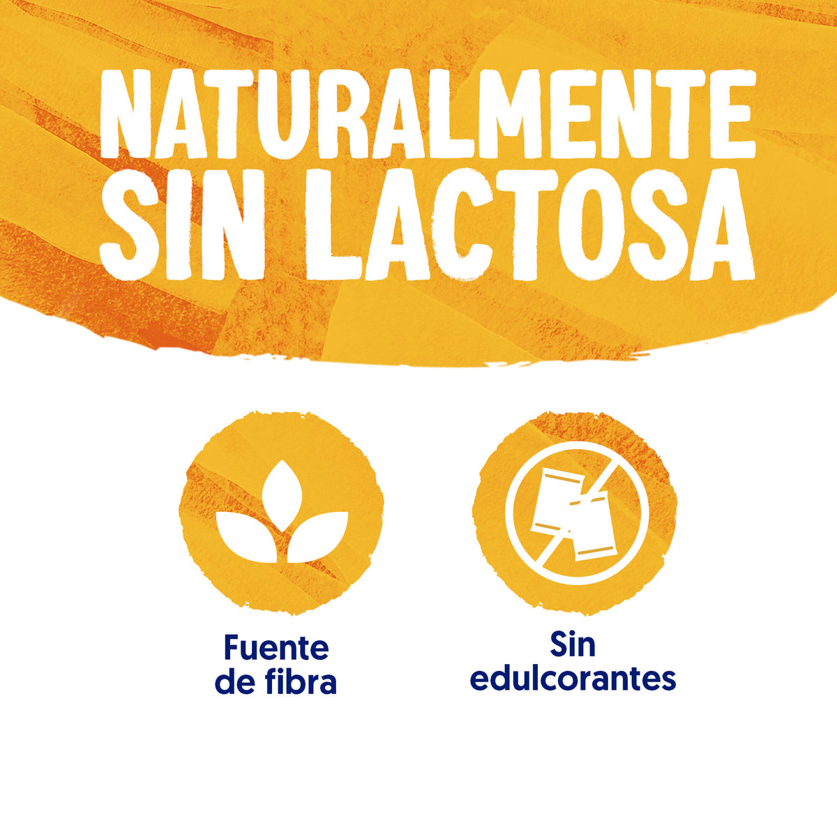 Postre vegetal meal to go vainilla Alpro 523G