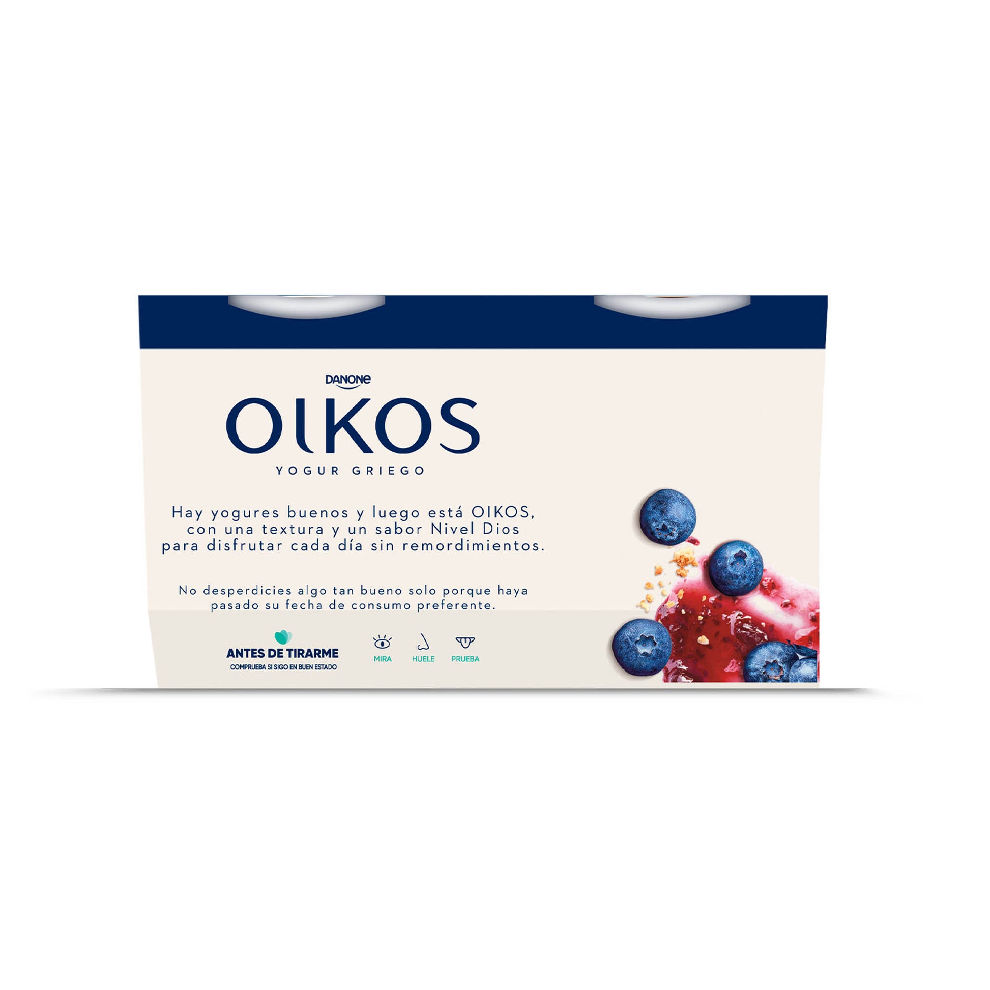 Yogur griego tarta de arandanos  oikos Danone p4 110g/u