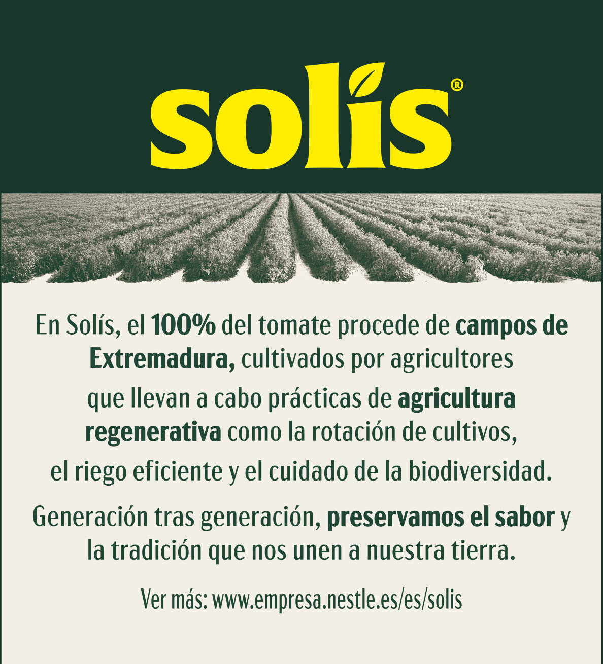 Tomate frito cristal solís 360g