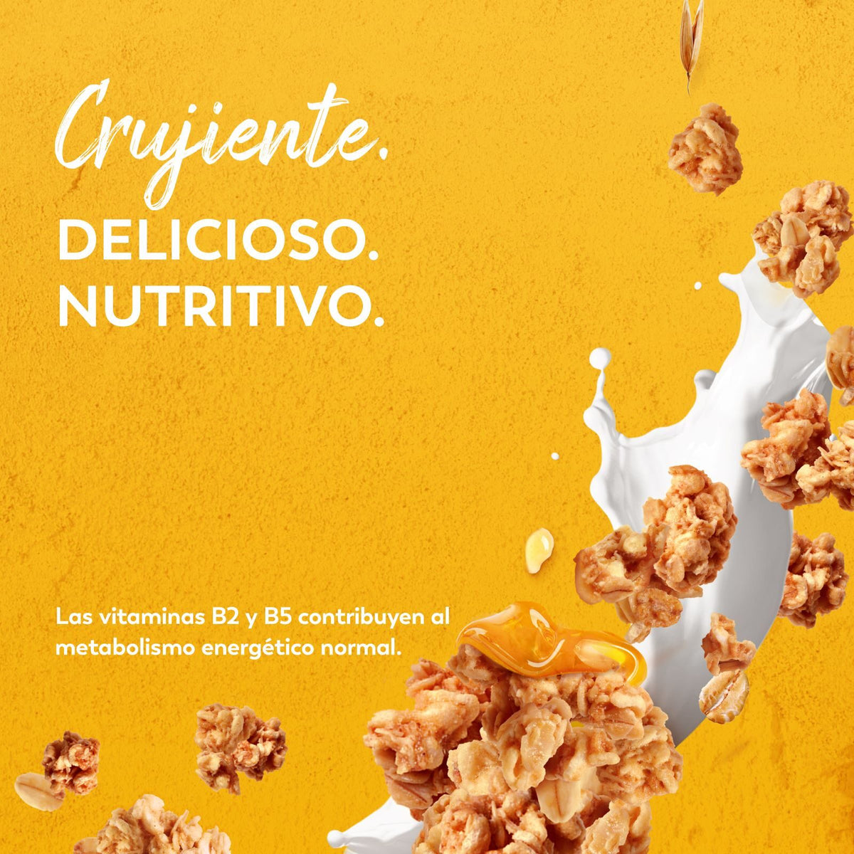 Granola avena trigo int y miel Fitness 300g