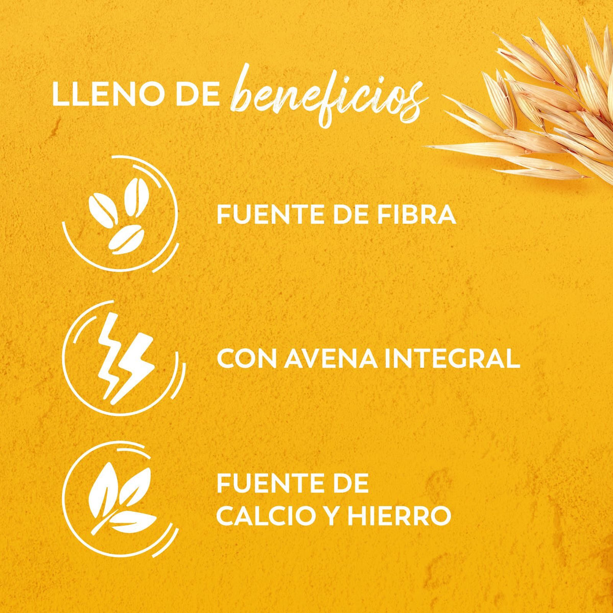 Granola avena trigo int y miel Fitness 300g