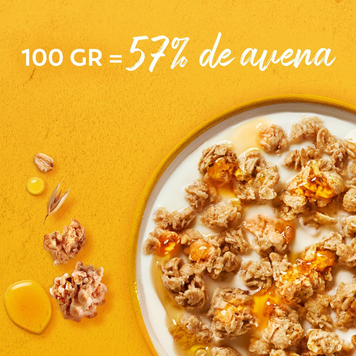 Granola avena trigo int y miel Fitness 300g