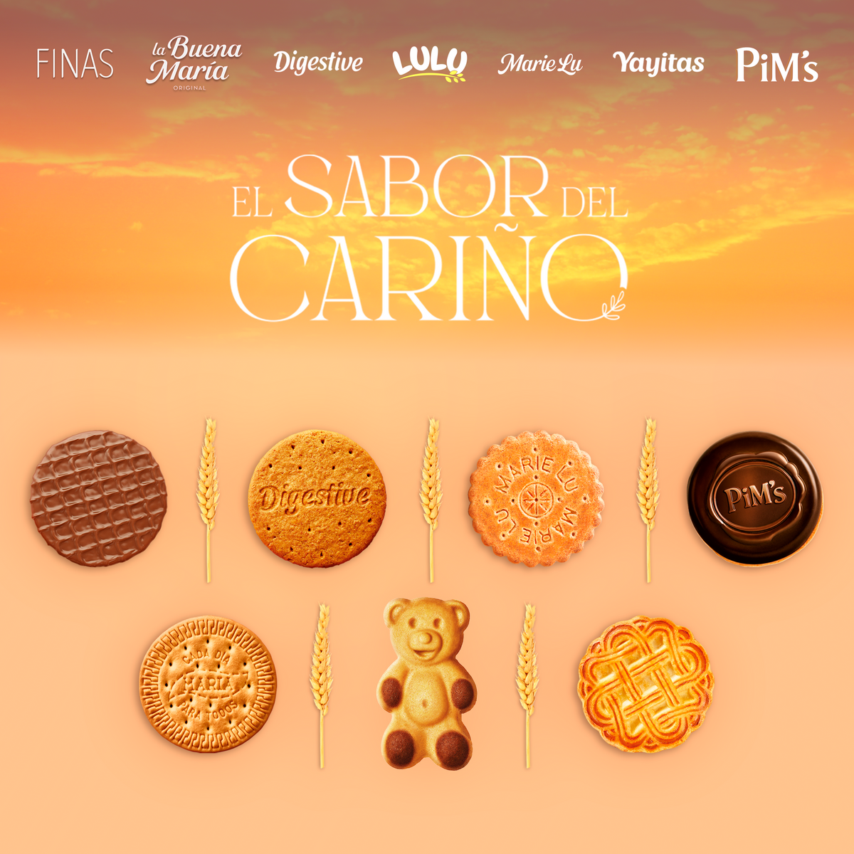 Galleta digestive fina chocolate Fontaneda 170g