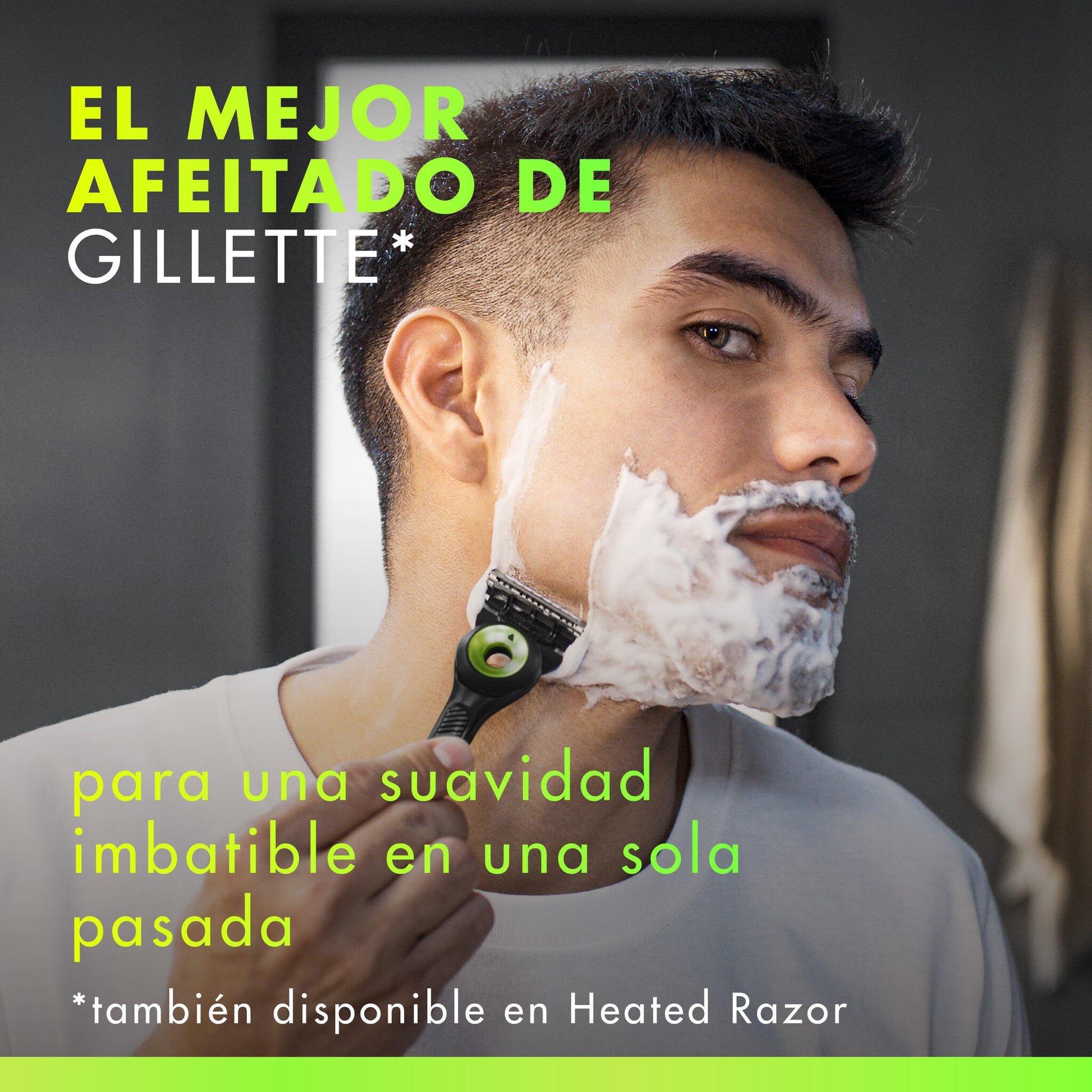 Recambio maquinilla labs Gillette fusion5 4u