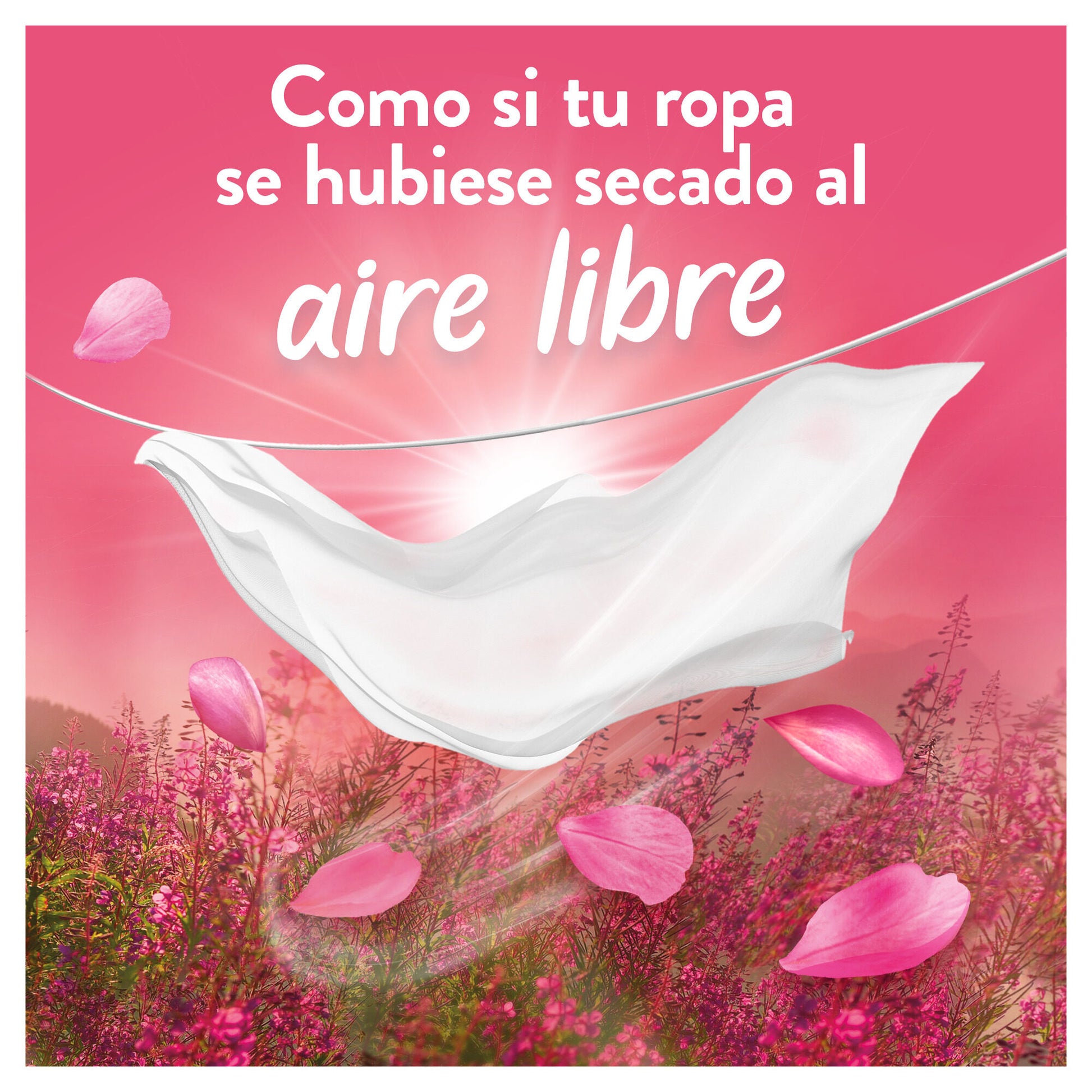 Suavizante concentrado windflower Lenor 50c