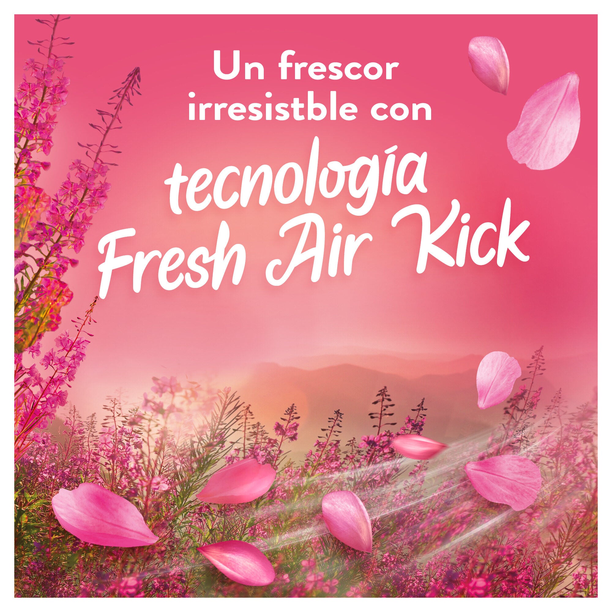 Suavizante concentrado windflower Lenor 50c