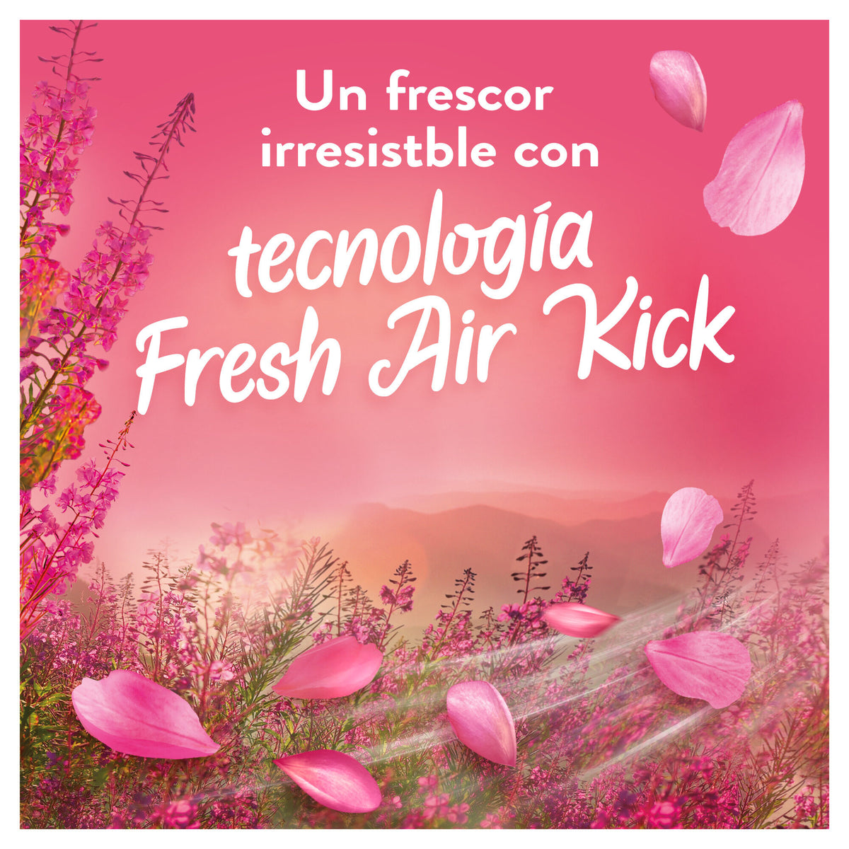 Suavizante concentrado windflower Lenor 50c