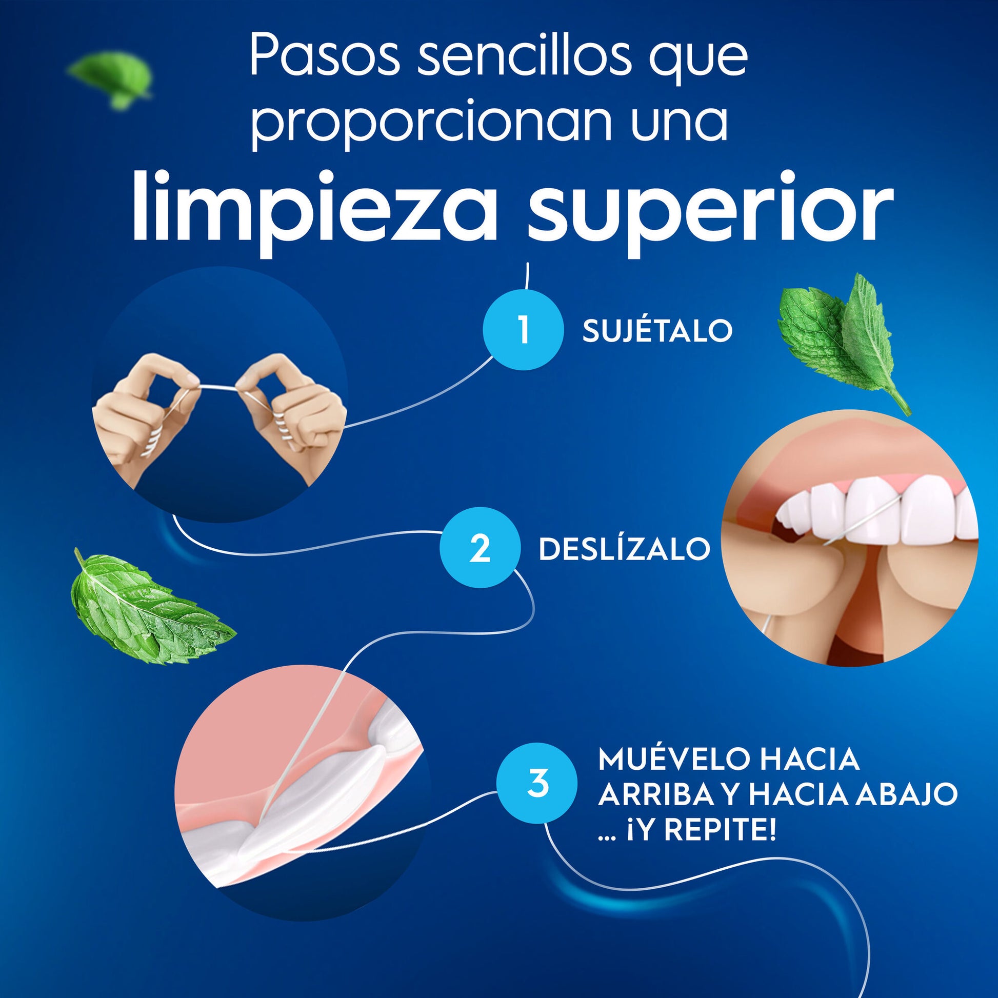 Seda dental menta tapa Oral b 1u