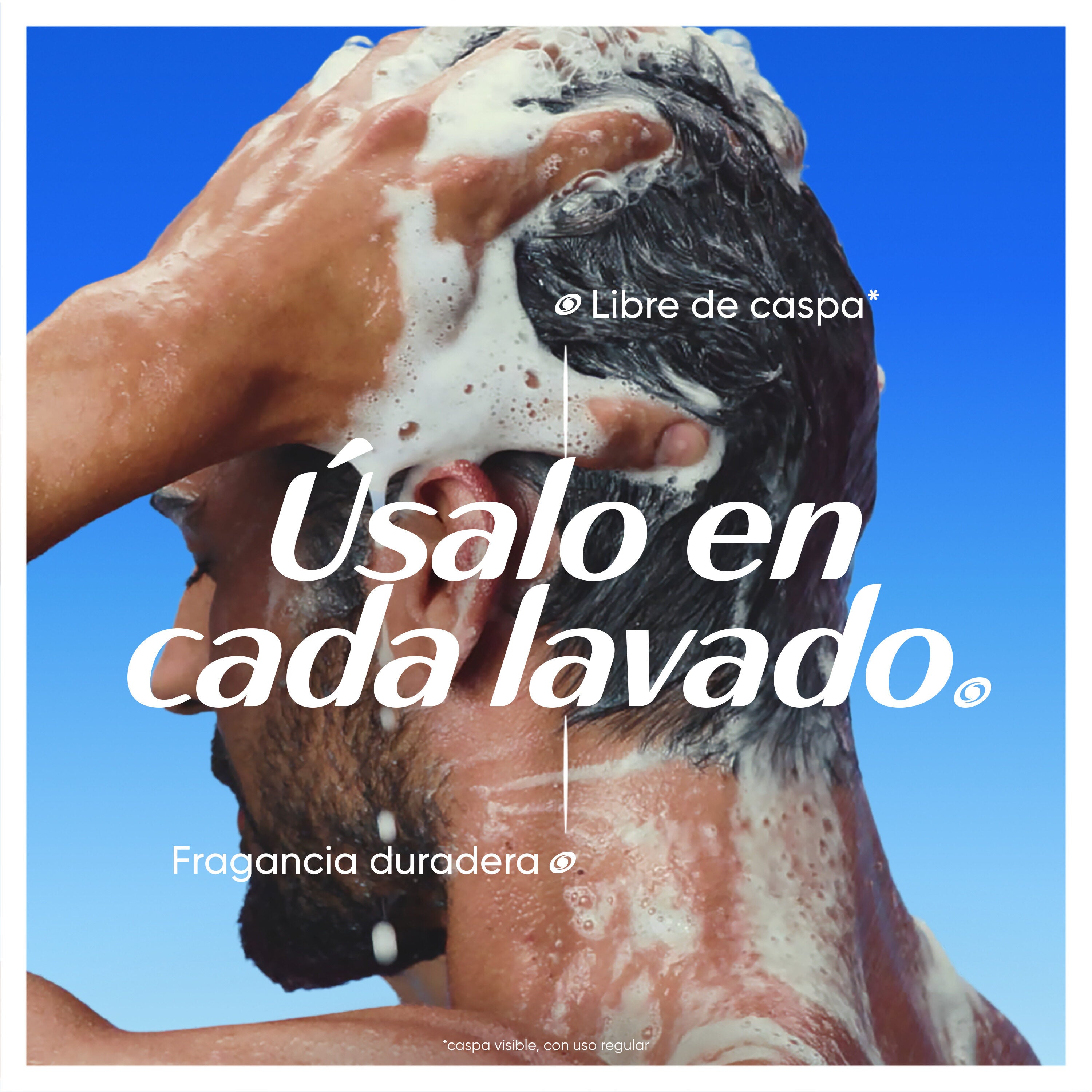 Champú anticaida xl H&s 800ml