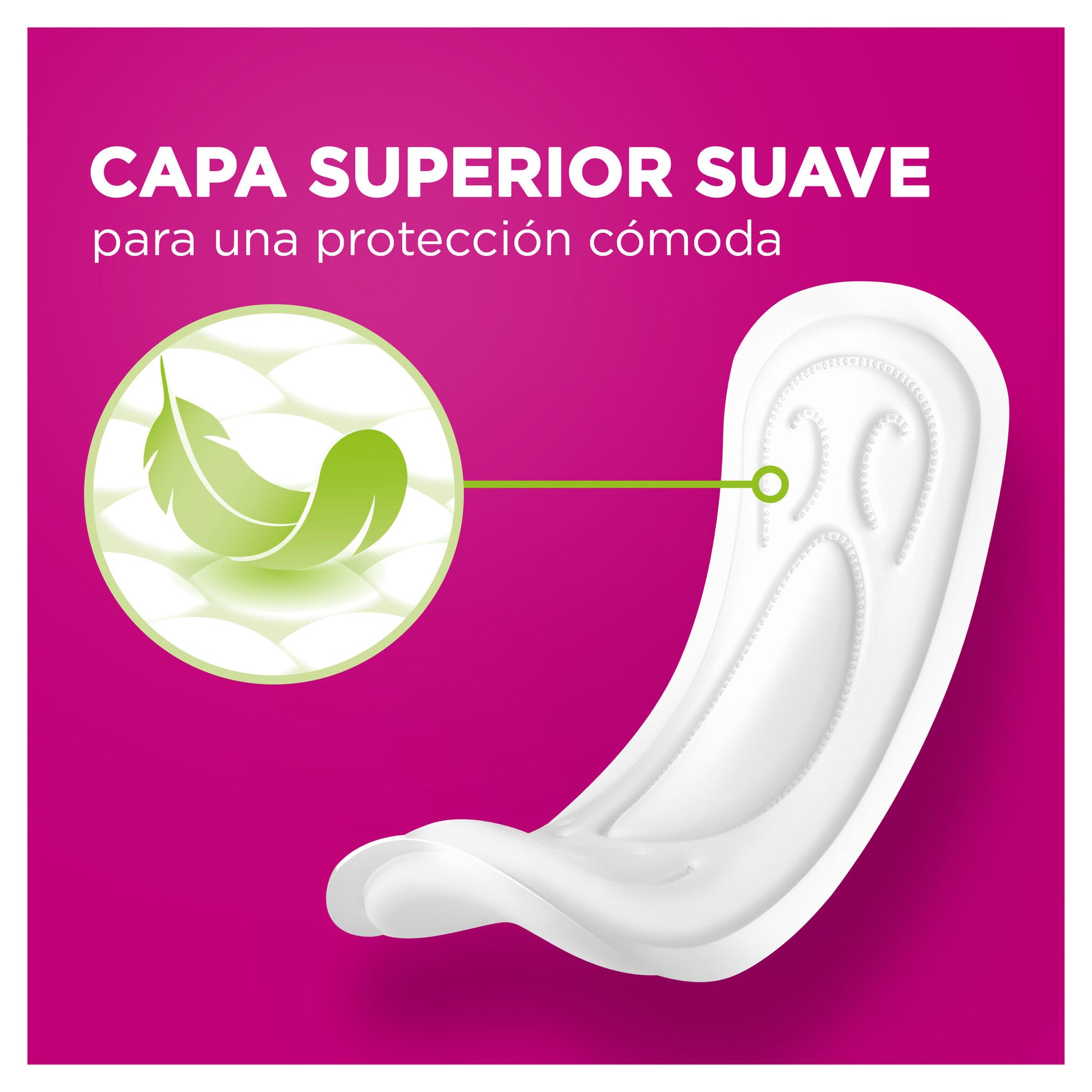 Compresa extraplana Ausonia p12