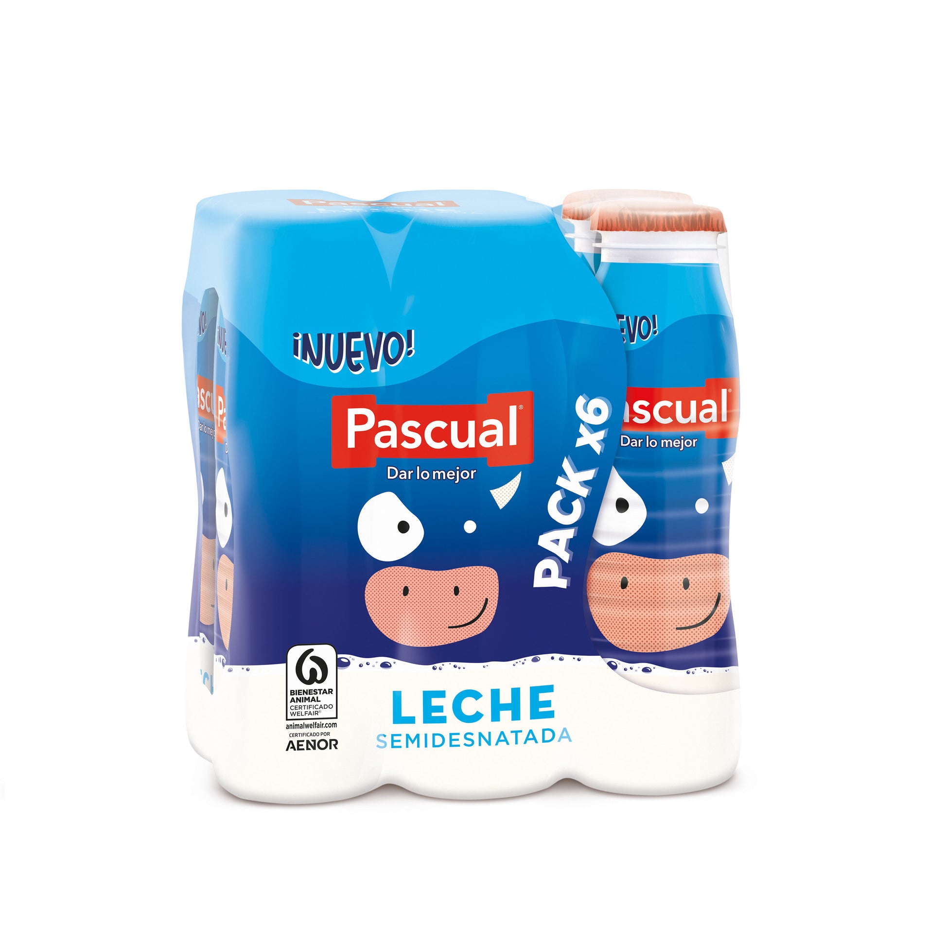 Leche semi botella Pascual p6 200ml