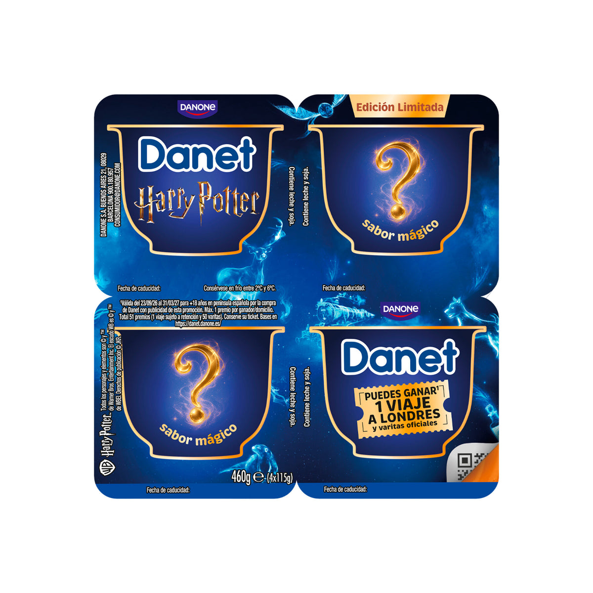 Natillas chocolate Harry Potter Danet p4 115g/u