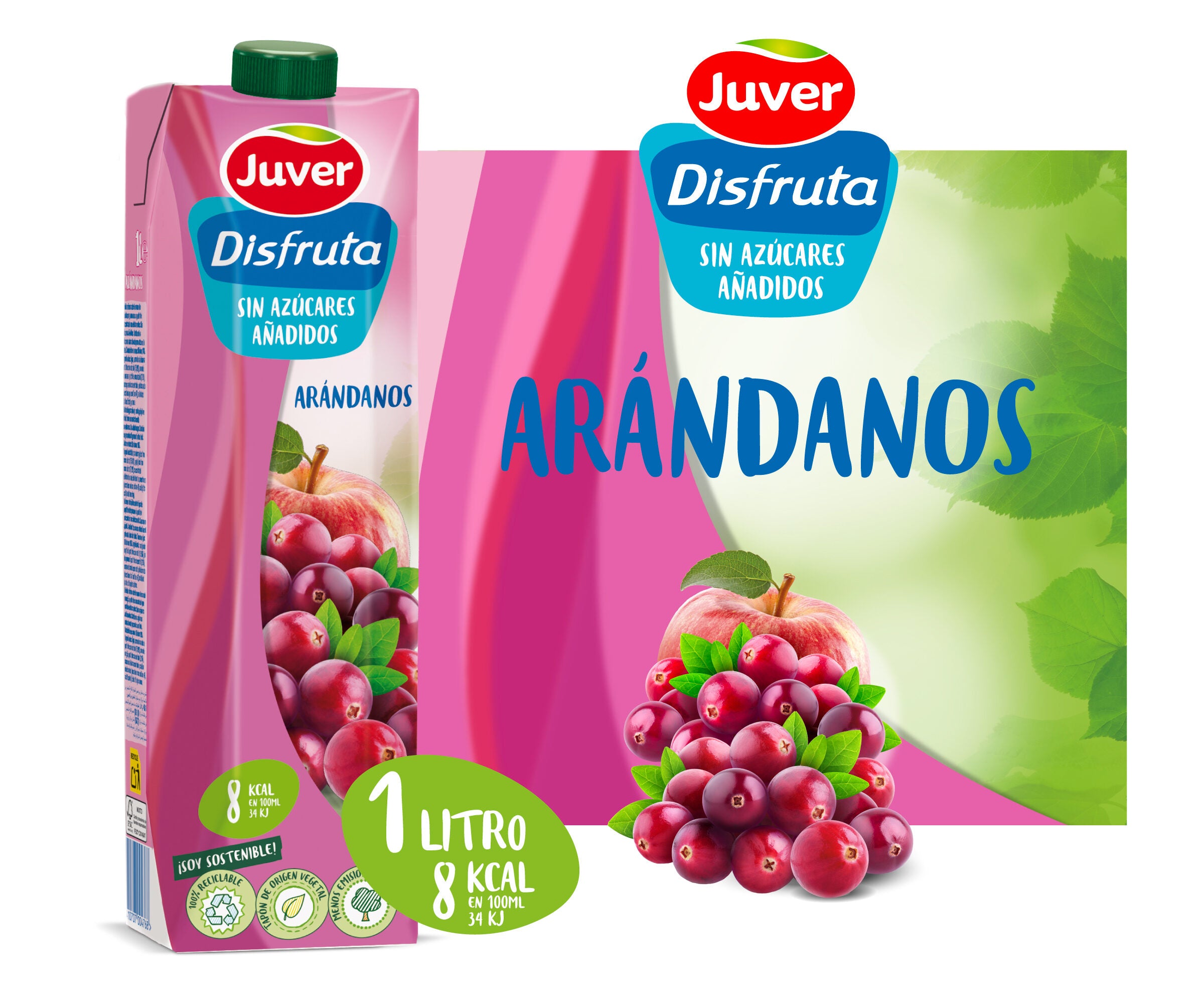 Bebida refrescante arandanos Disfruta Juver 1l