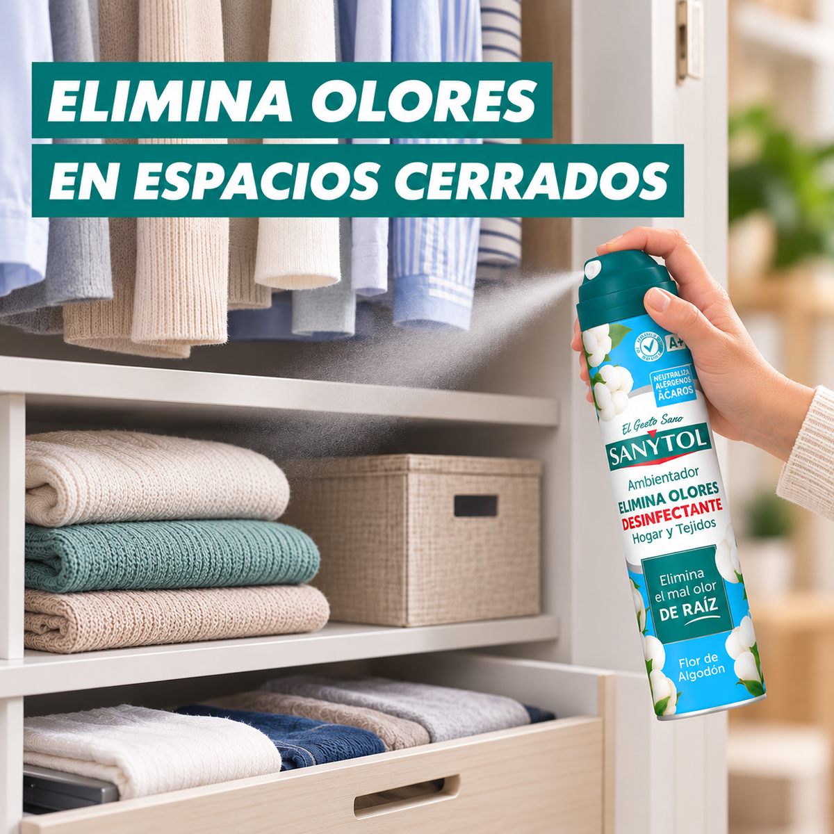 Ambientador aerosol desinfect tejidos hogar Sanytol 250g