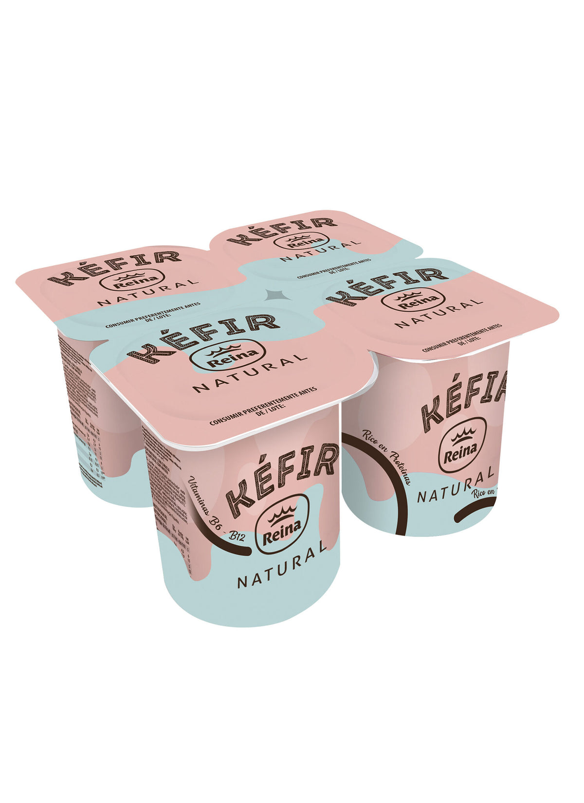 Kefir Natural Reina P4 120g/u