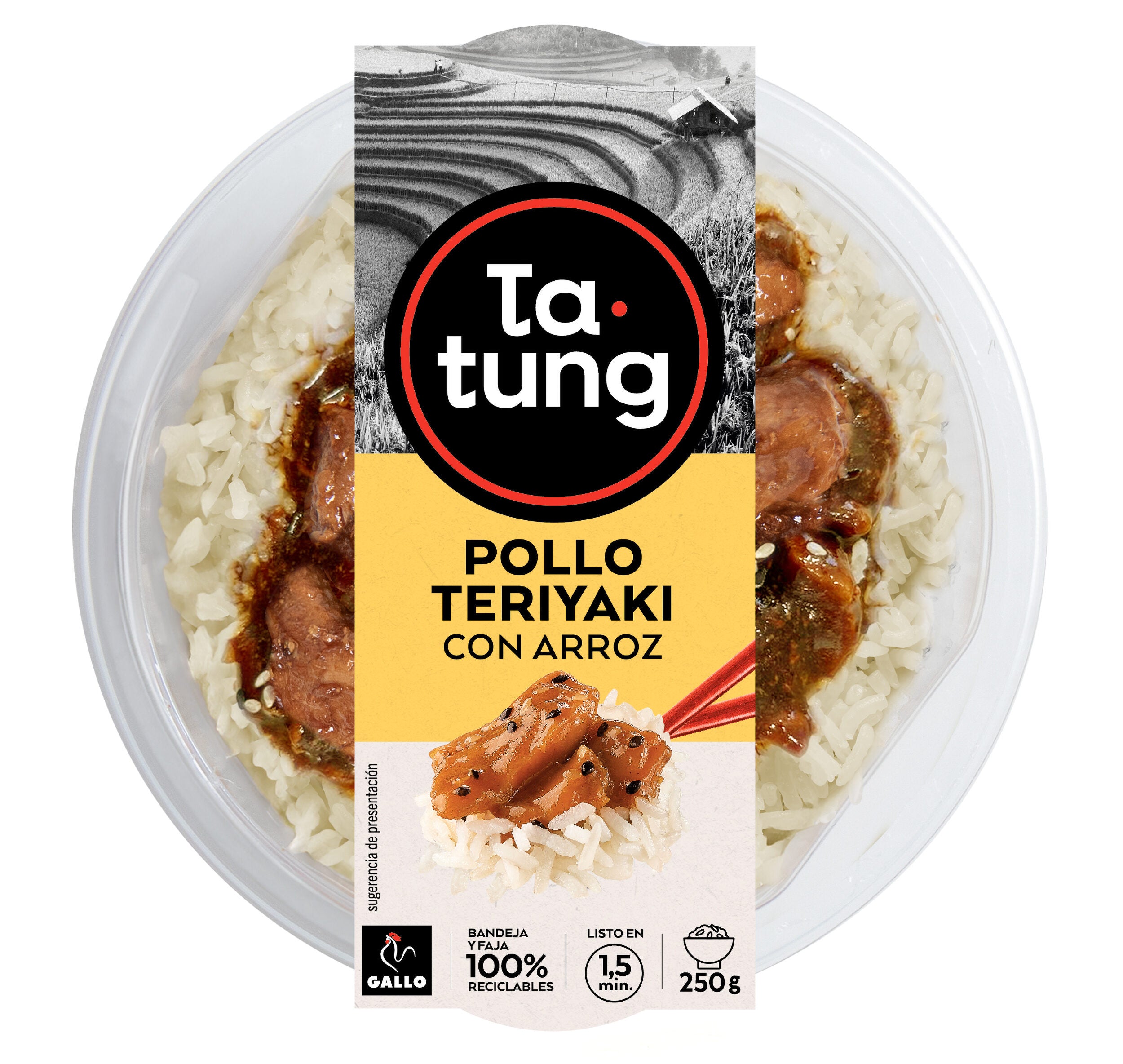 Arroz pollo teriyaki Ta-tung 250g
