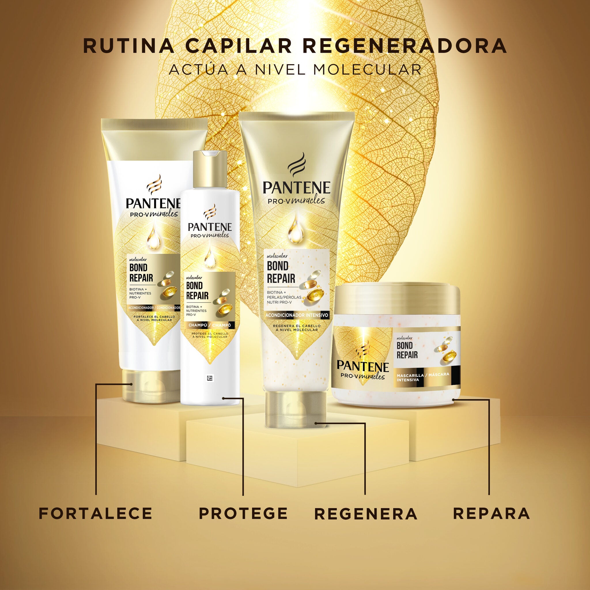 Champú reparador Pantene 250ml
