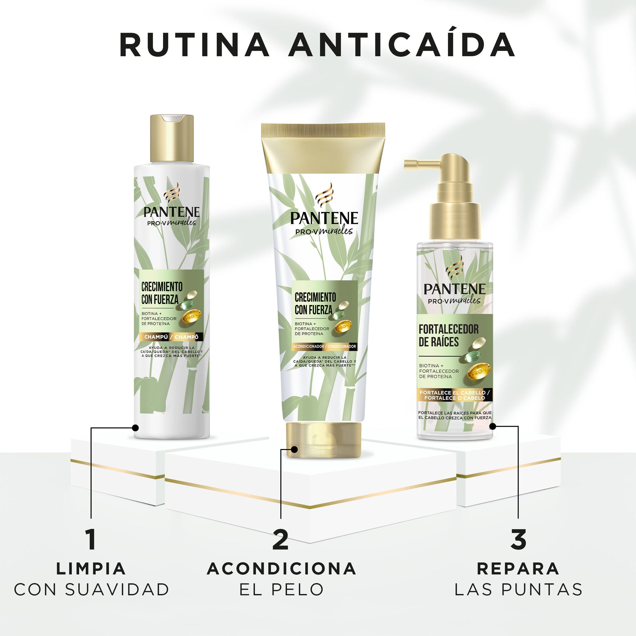 Champú bambu Pantene 250ml