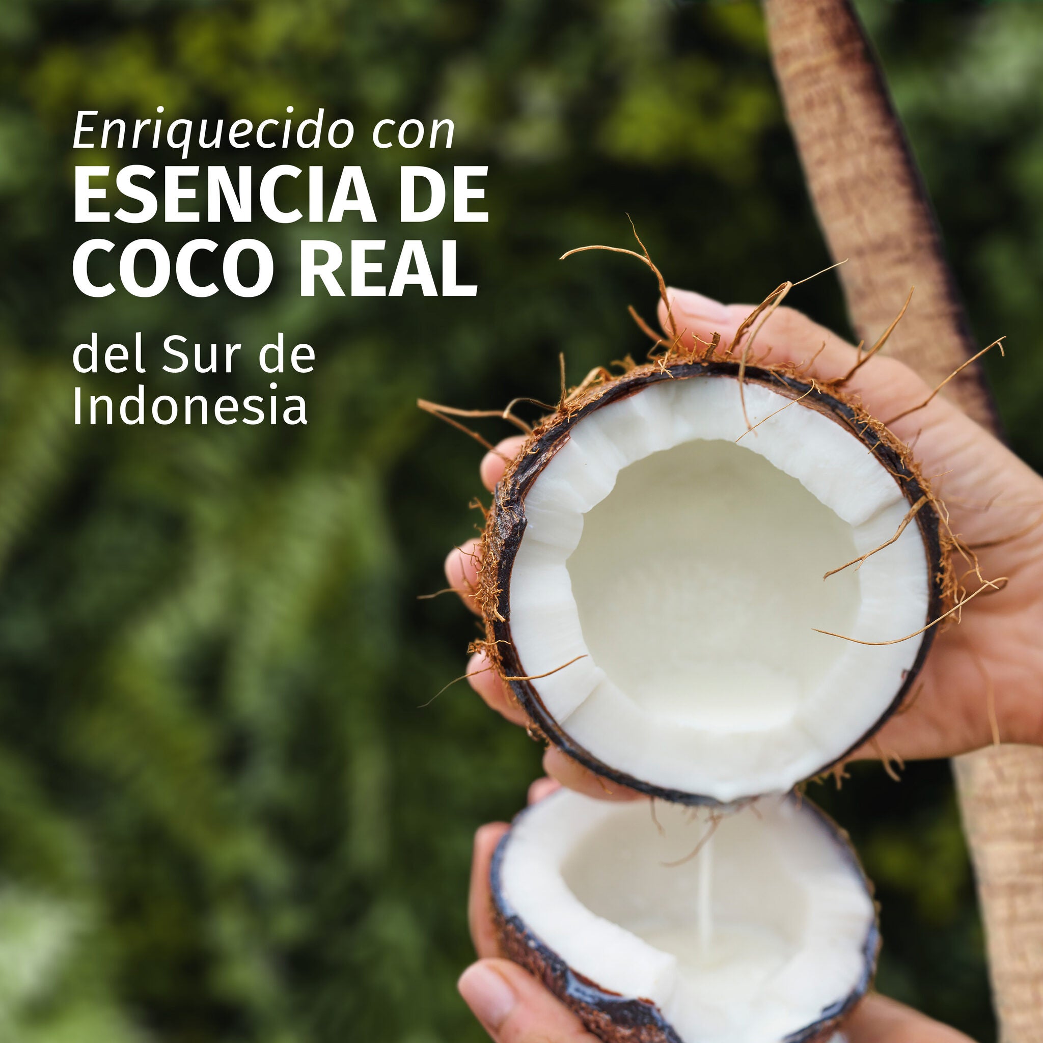 Mascarilla hidratante coco Herbal 500ml