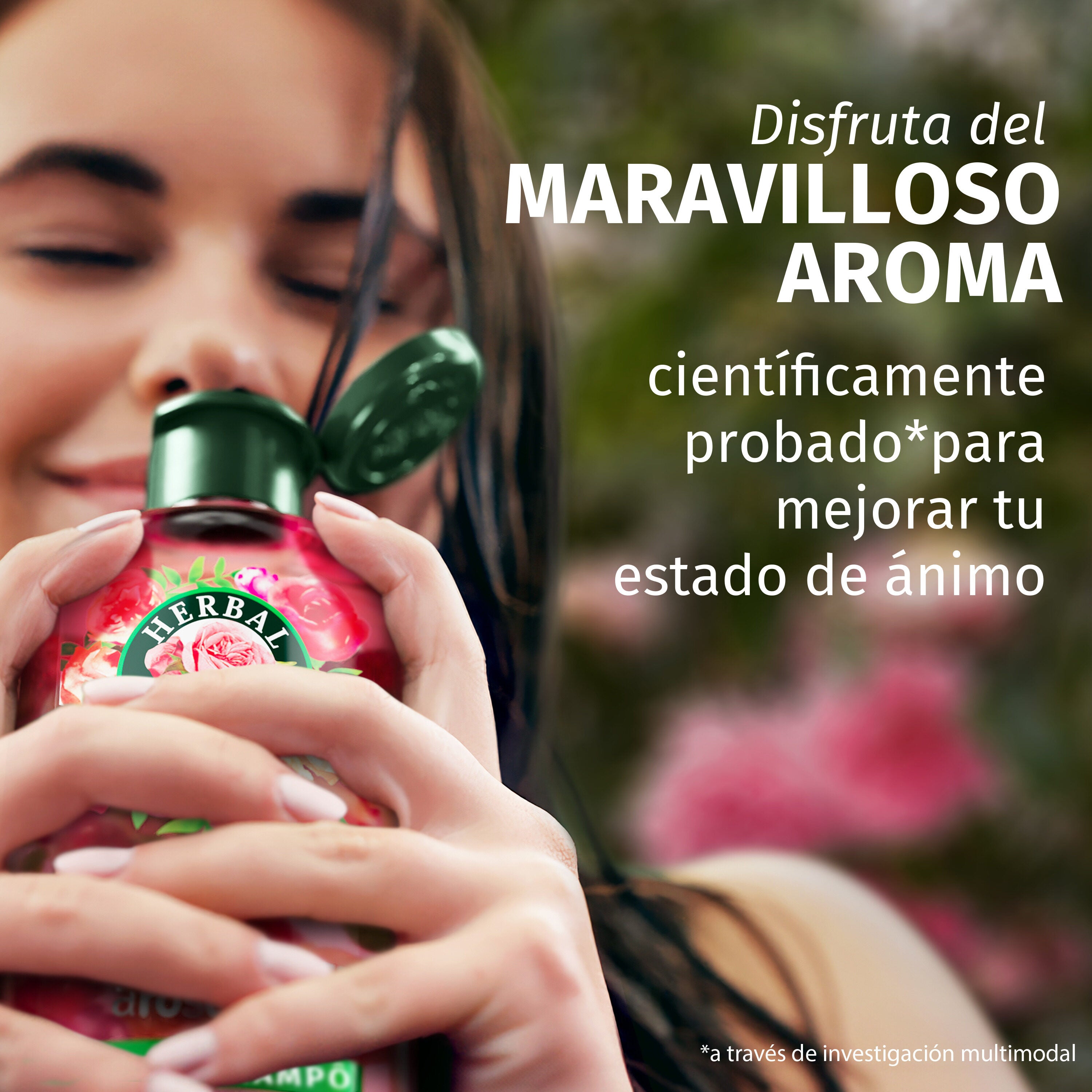 Acondicionador rosa Herbal 250ml