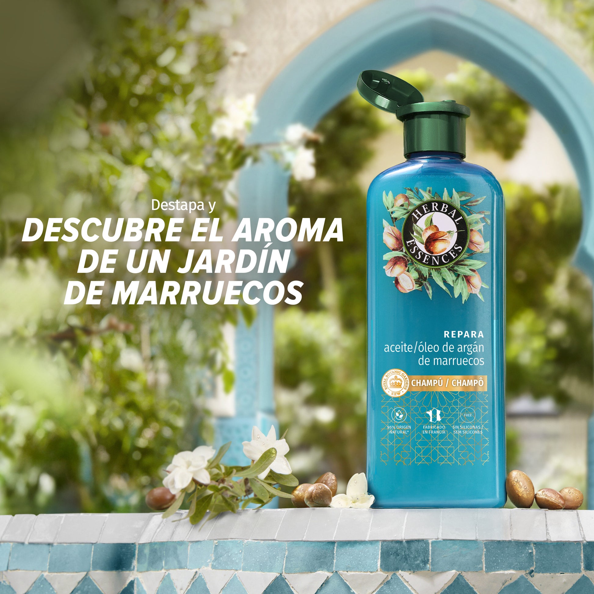 Champú aceite/oleo de argan Herbal 350ml