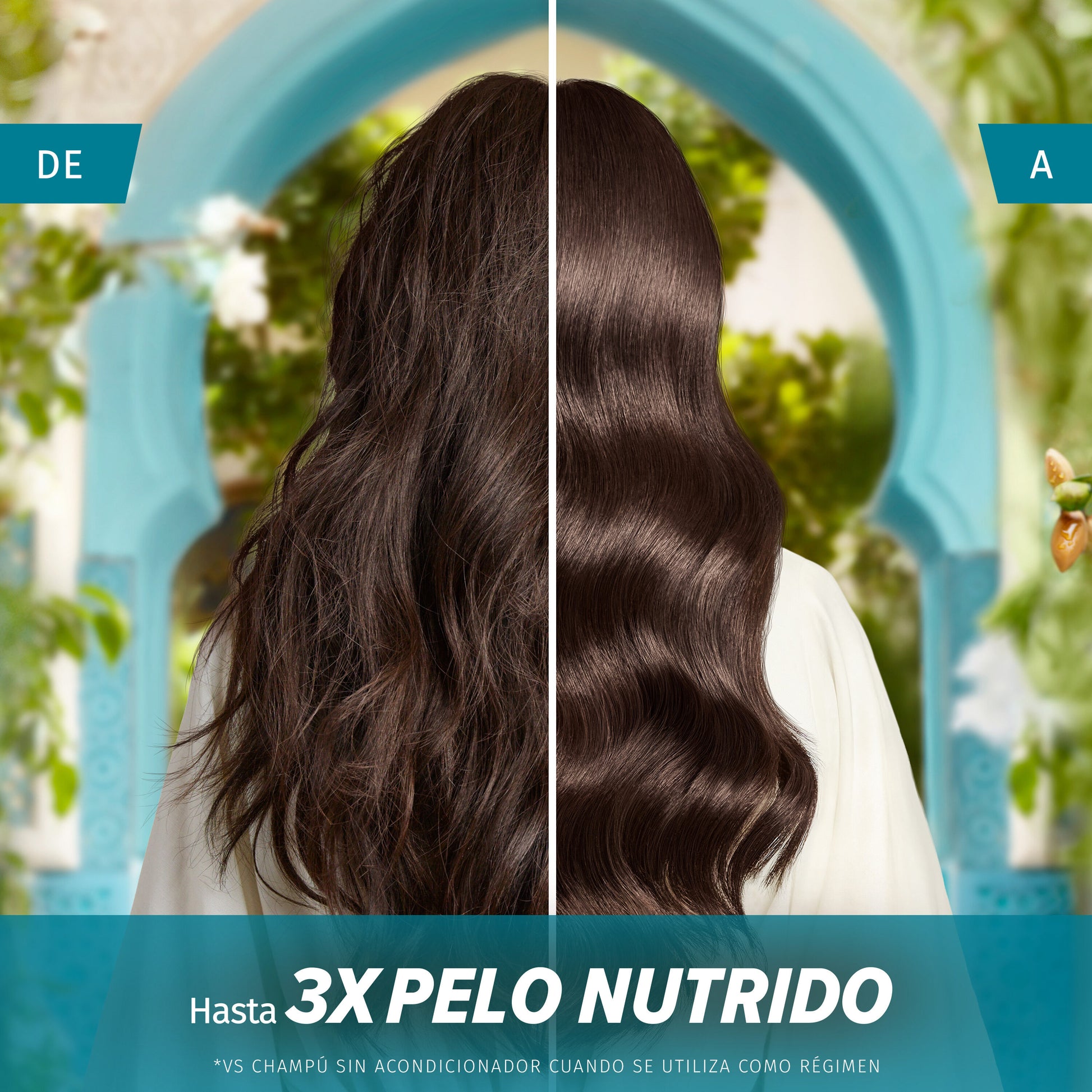 Champú aceite/oleo de argan Herbal 350ml