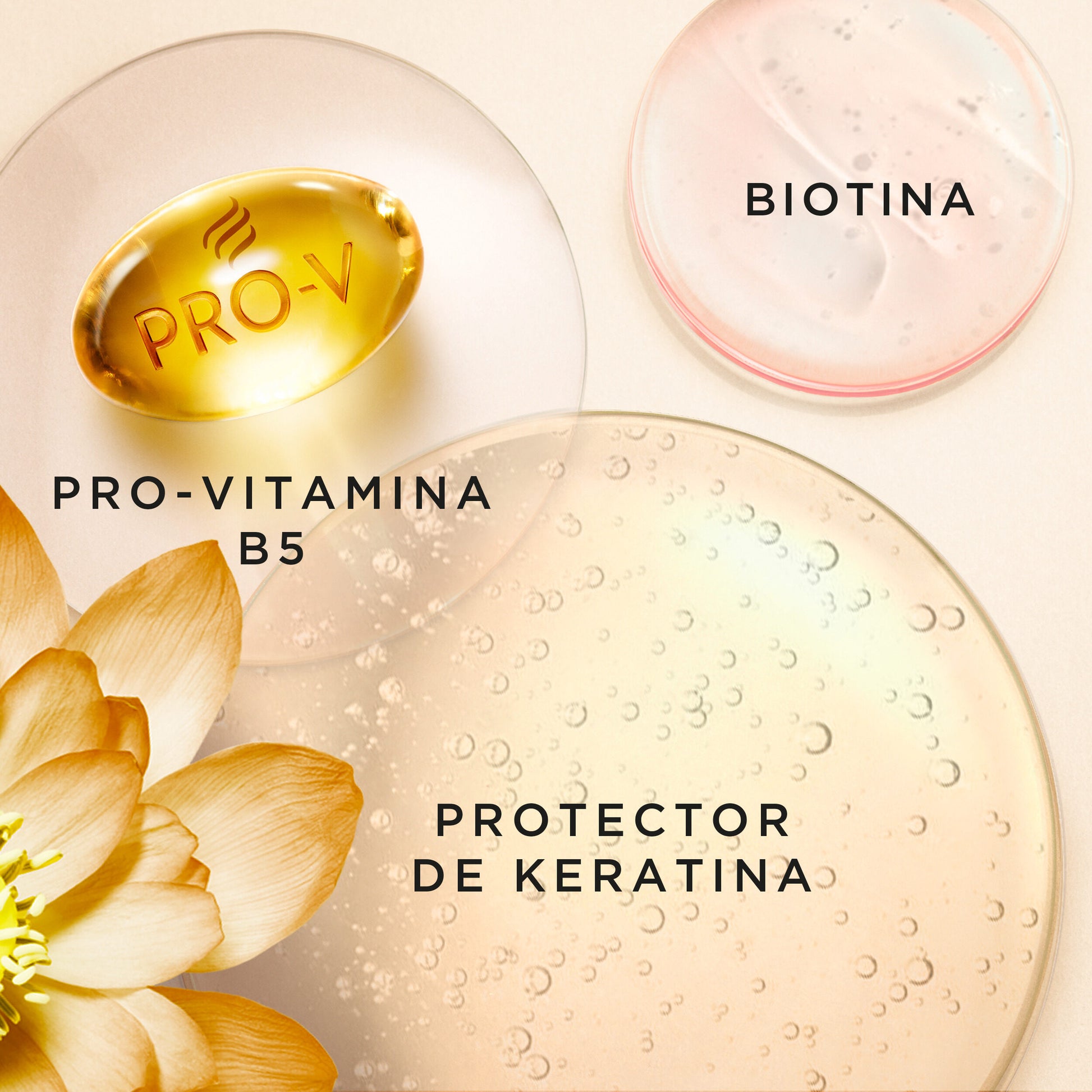 Tratamiento hidrocrema cactus Pantene 70ml