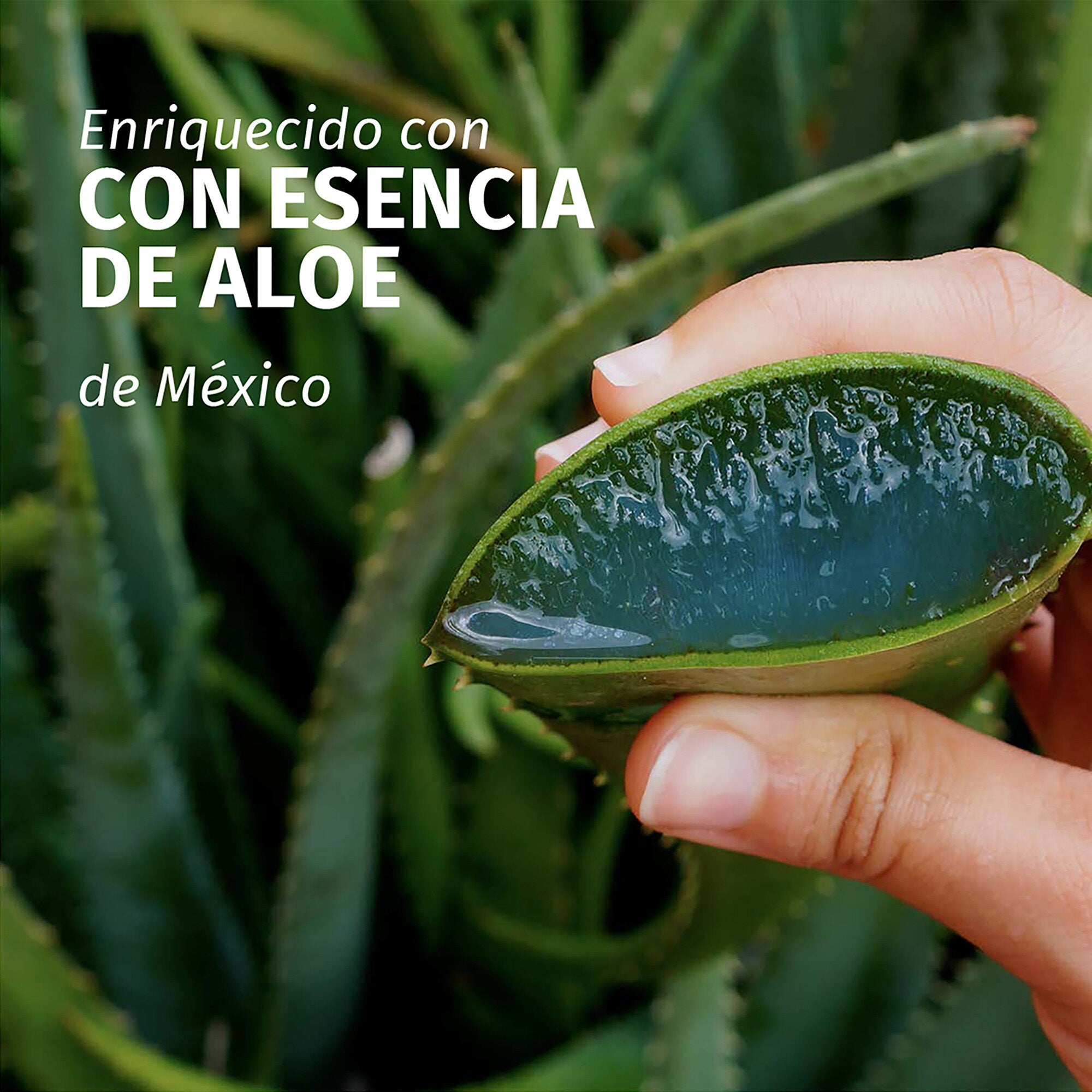 Mascarilla aloe Herbal 500ml