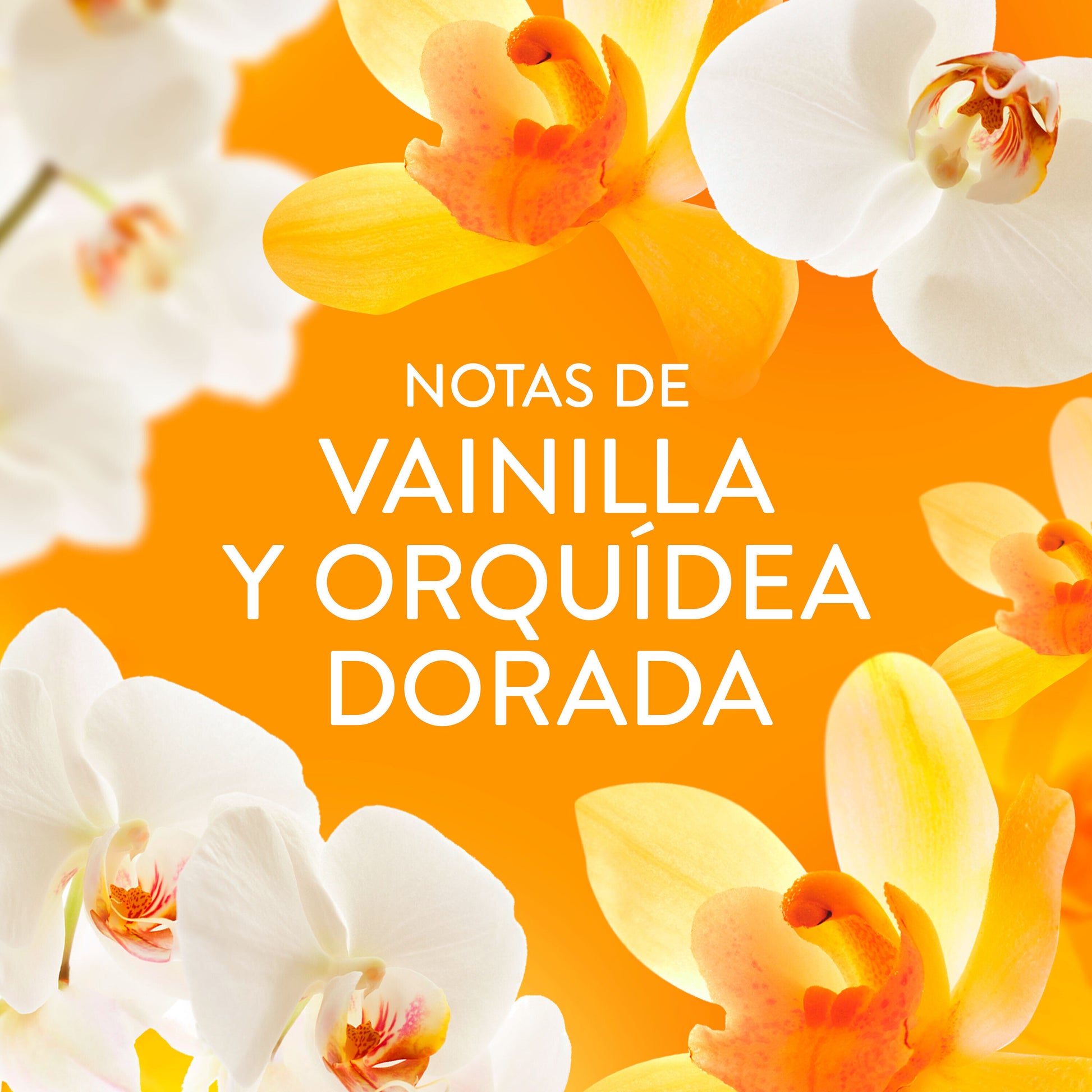 Perlas orquidea dorada Lenor 195ml