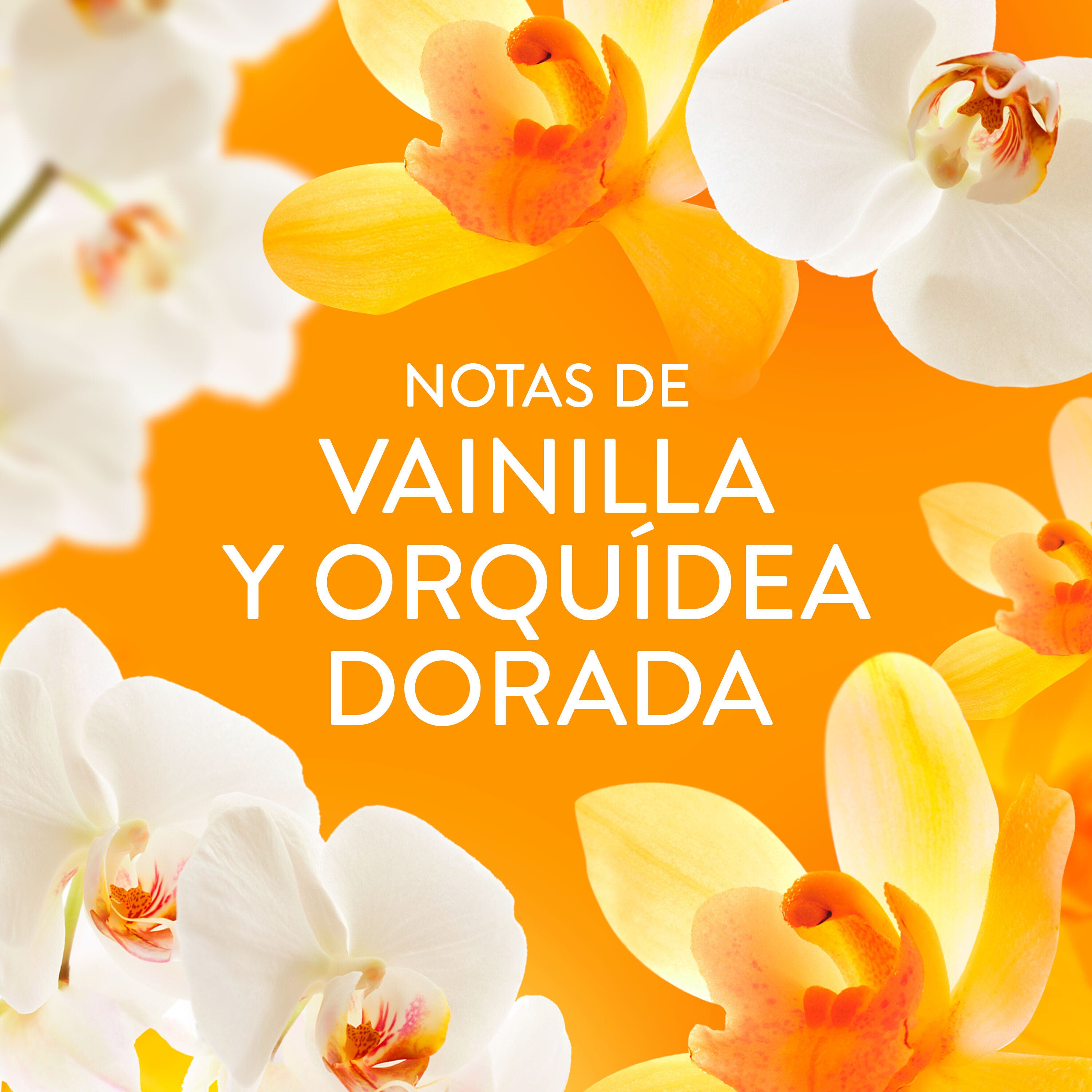 Perlas orquidea dorada Lenor 195ml