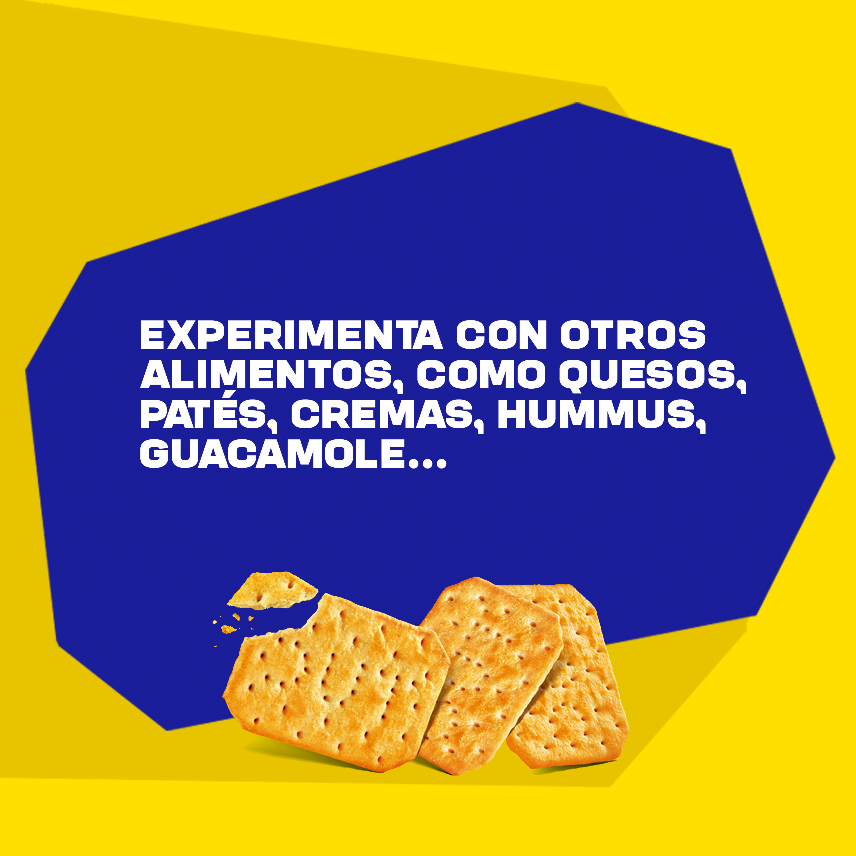 Galleta salada cracker Tuc 100g