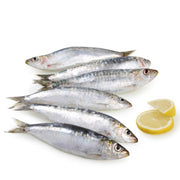 Sardina parrocha