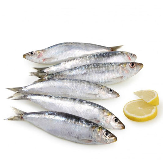 Sardina parrocha La Despensa