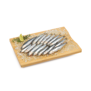 Boquerón gordo