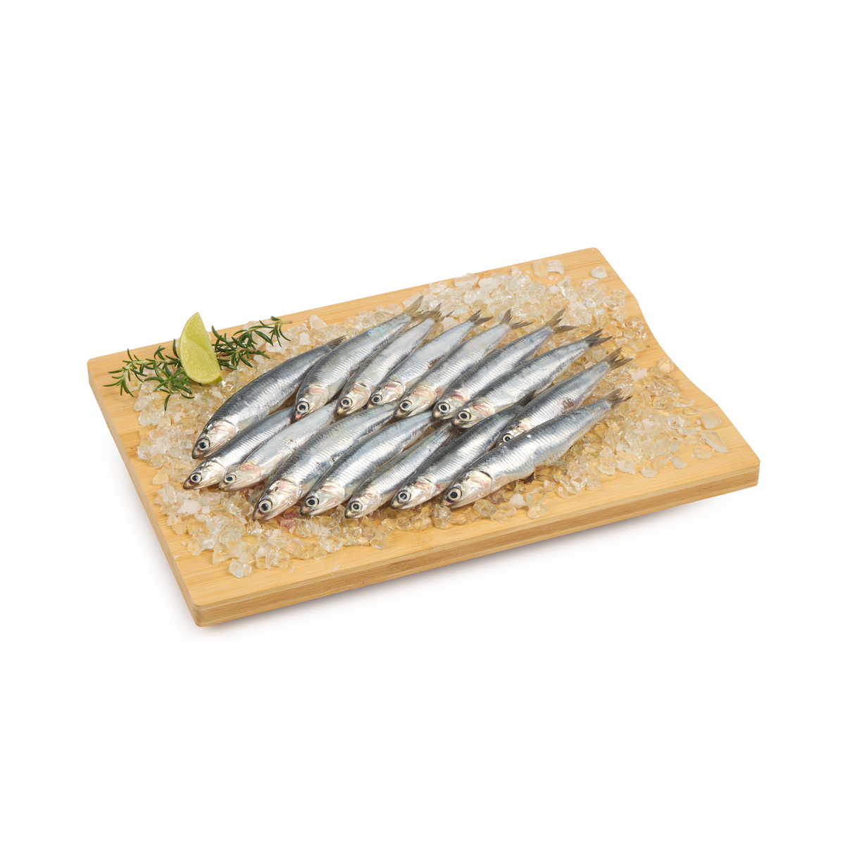 Boquerón gordo